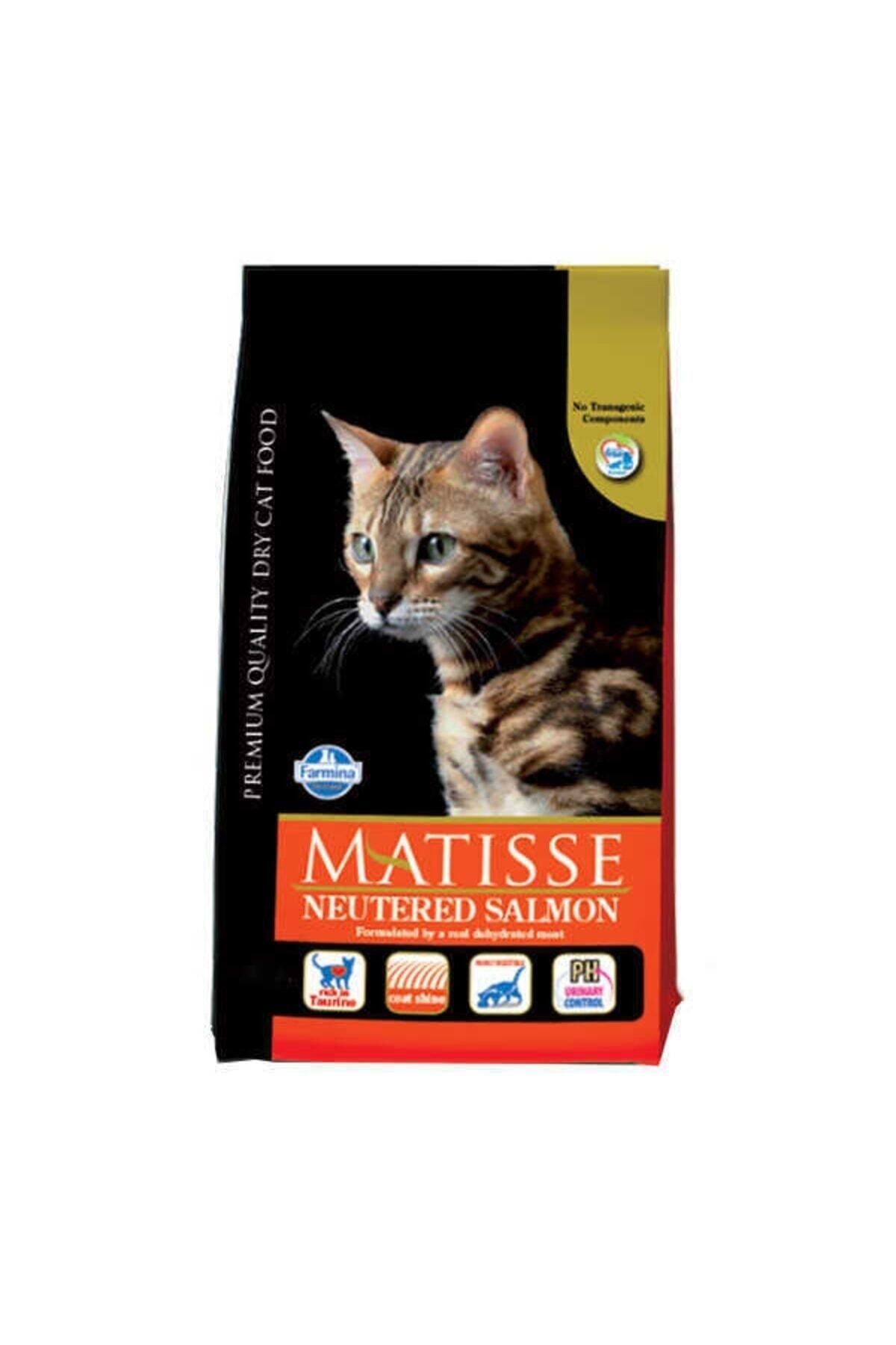 Matisse Sterilised Somonlu Kısırlaştırılmış Kedi Maması 1,5 Kg