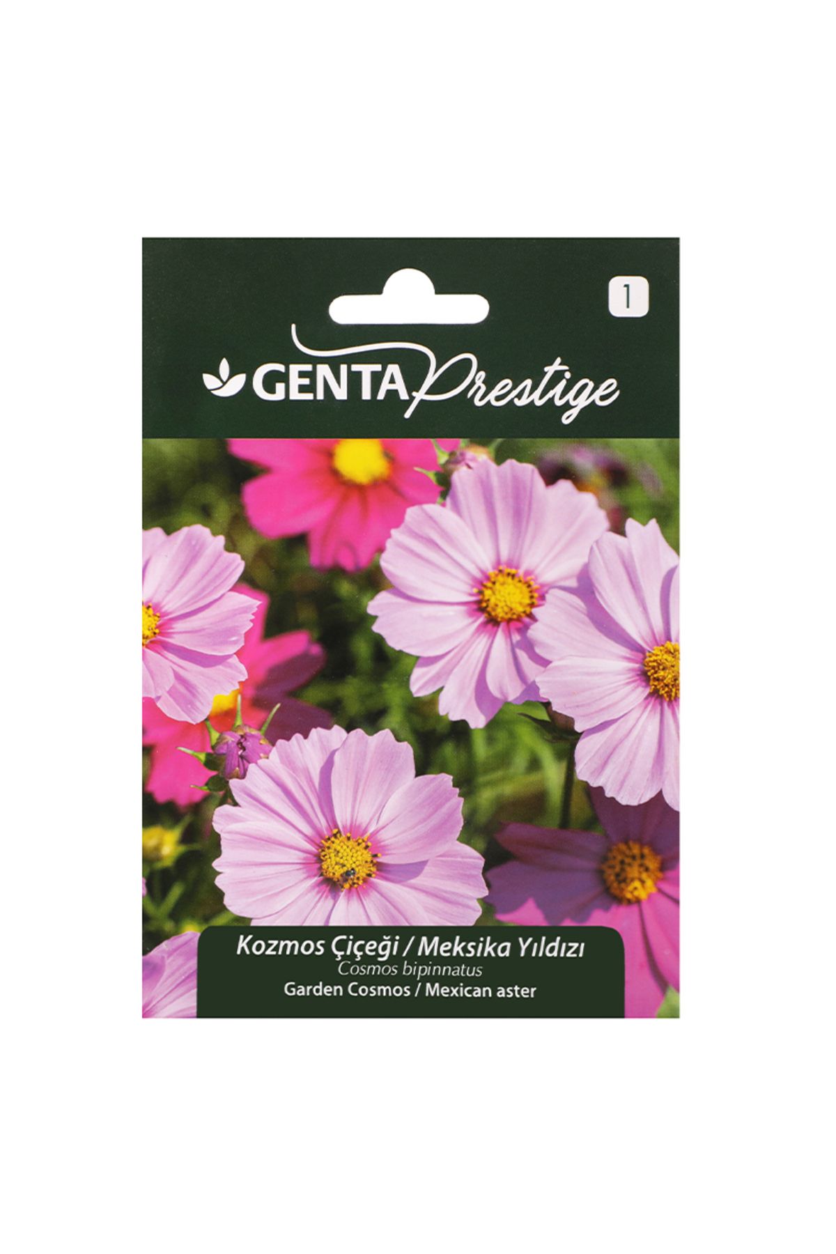 Genta Prestige Çiçek Tohumu Kozmos Çiçeği Meksika Yıldızı