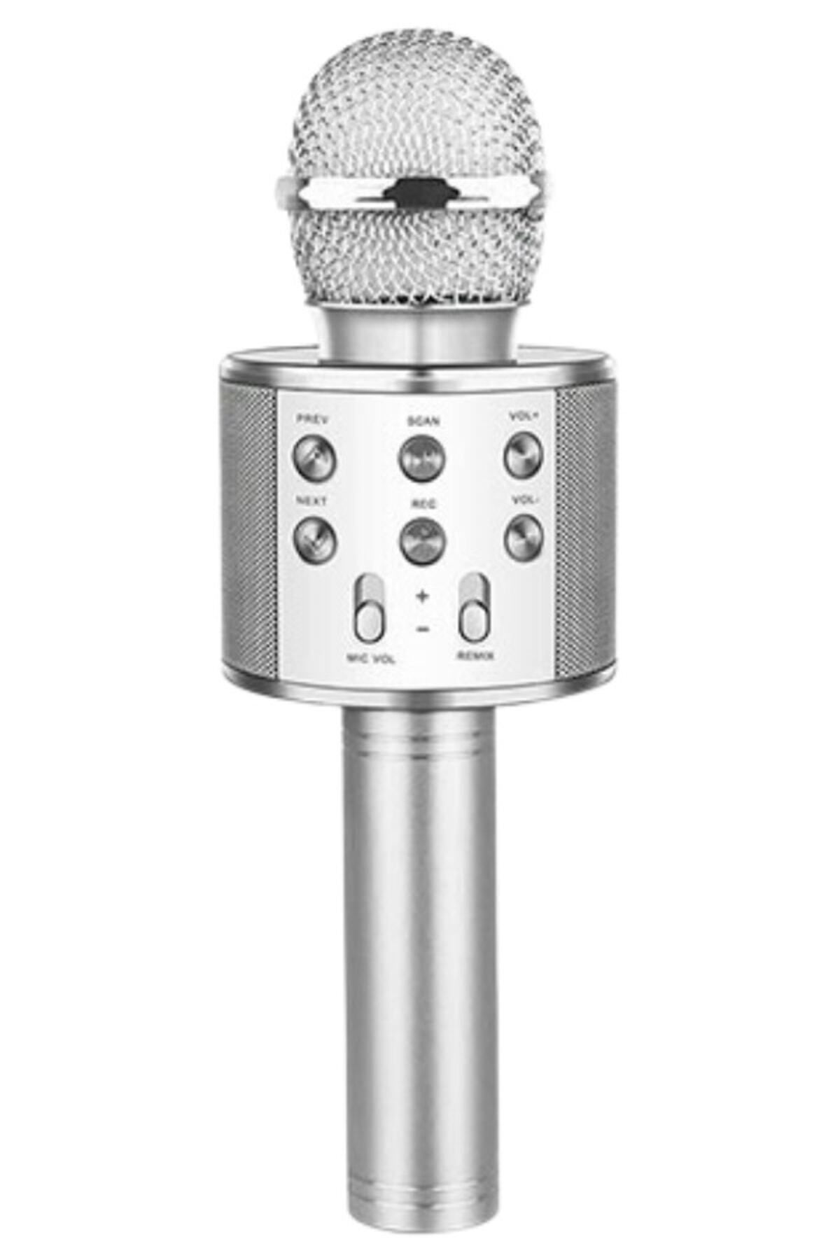 Evervox Evr Krk 02 Karaoke Mikrofon Gri Silver
