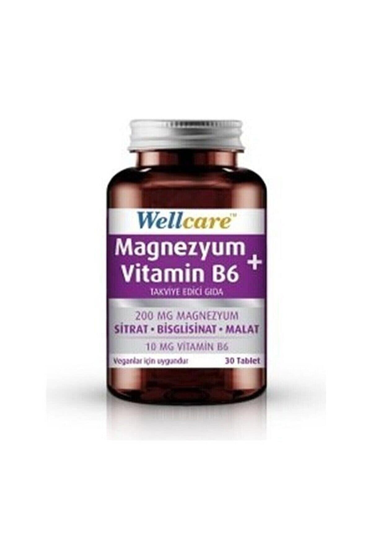 Wellcare Magnezyum+vitamin B6 Takviye Edici Gıda 30 Tablet
