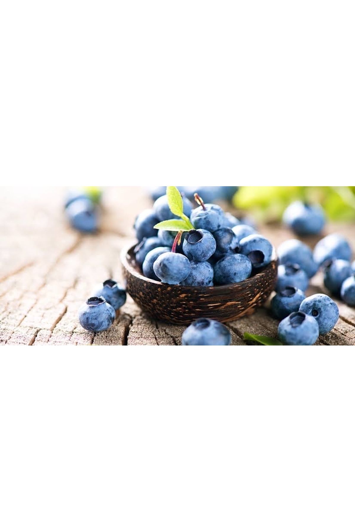 Hamile Marketim Yaban Mersini Blueberry taze (ligarba-likapa-)125 gr