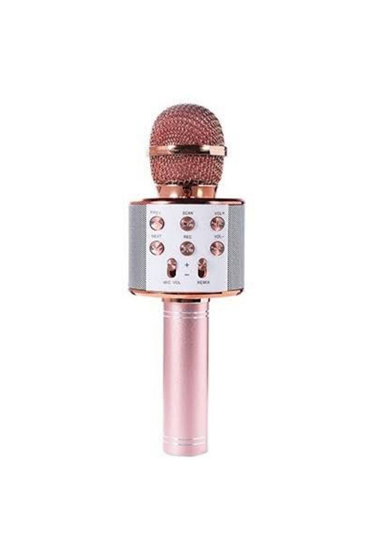 Evervox Evr Krk 02 Ilkdağ Karaoke Mikrofon Aux Usb Ve Sd Kart Girişli Bluetooth Rose Gold Ilkdağ