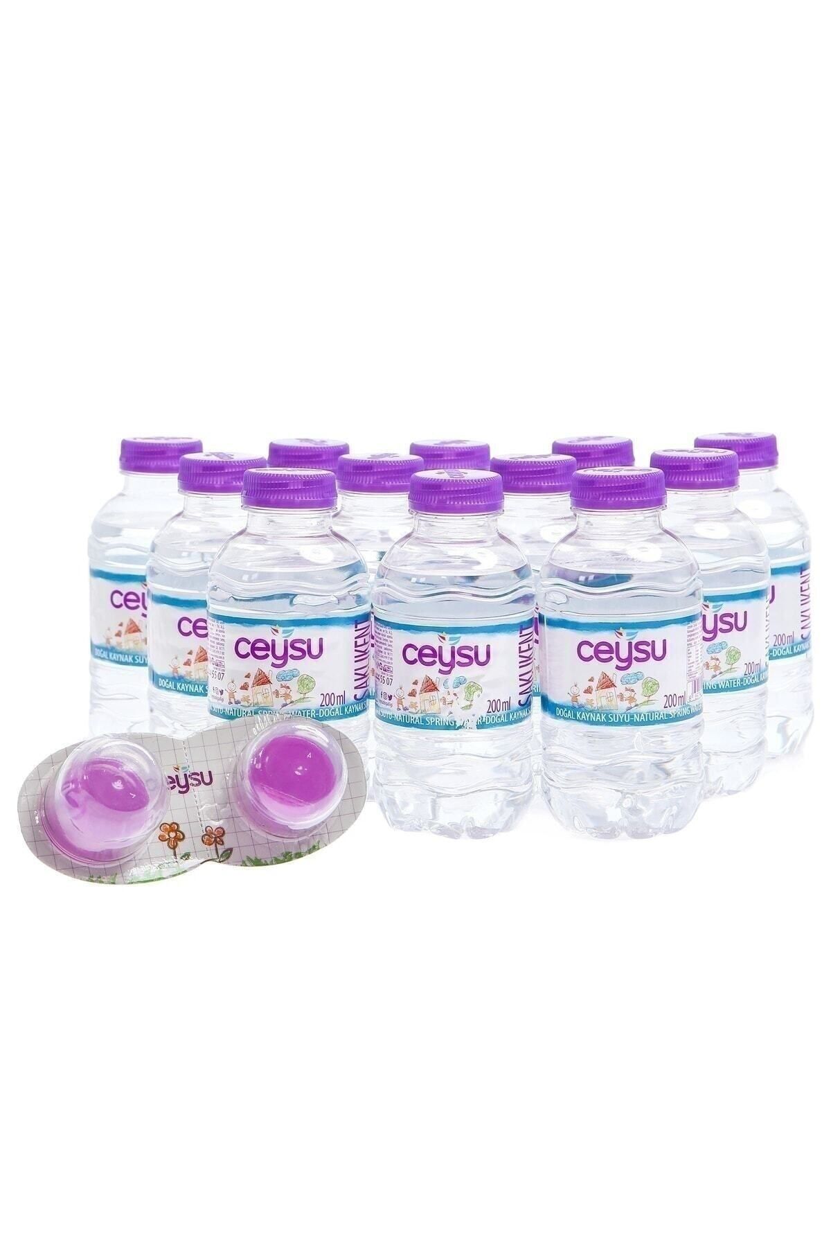 Ceysu Bebek Suyu 12x200 Ml