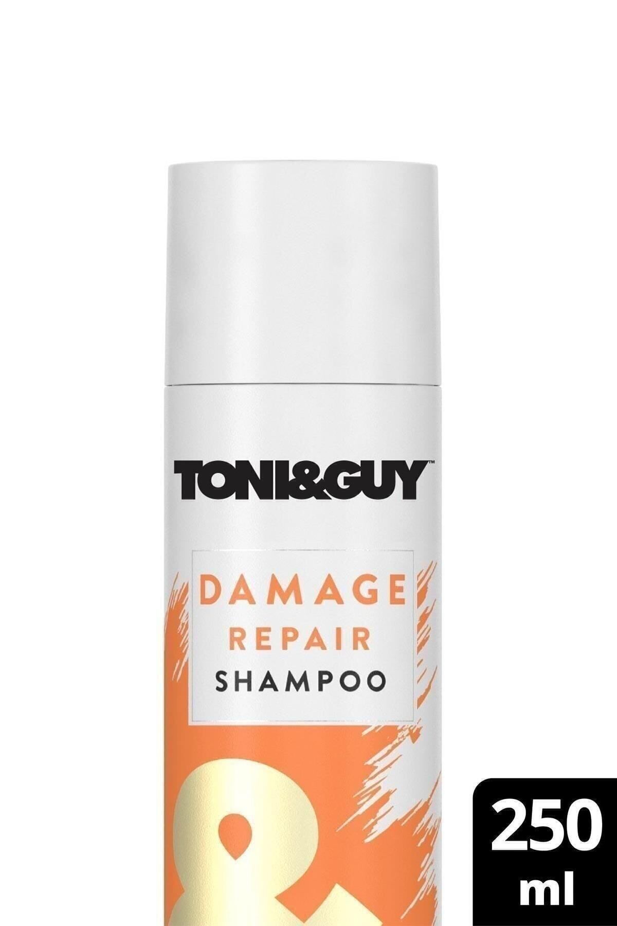 Toni Guy Yıpranmış Saçlar İçin Dipten Uca Onarıcı ve Güçlendirici Şampuan 250 ml