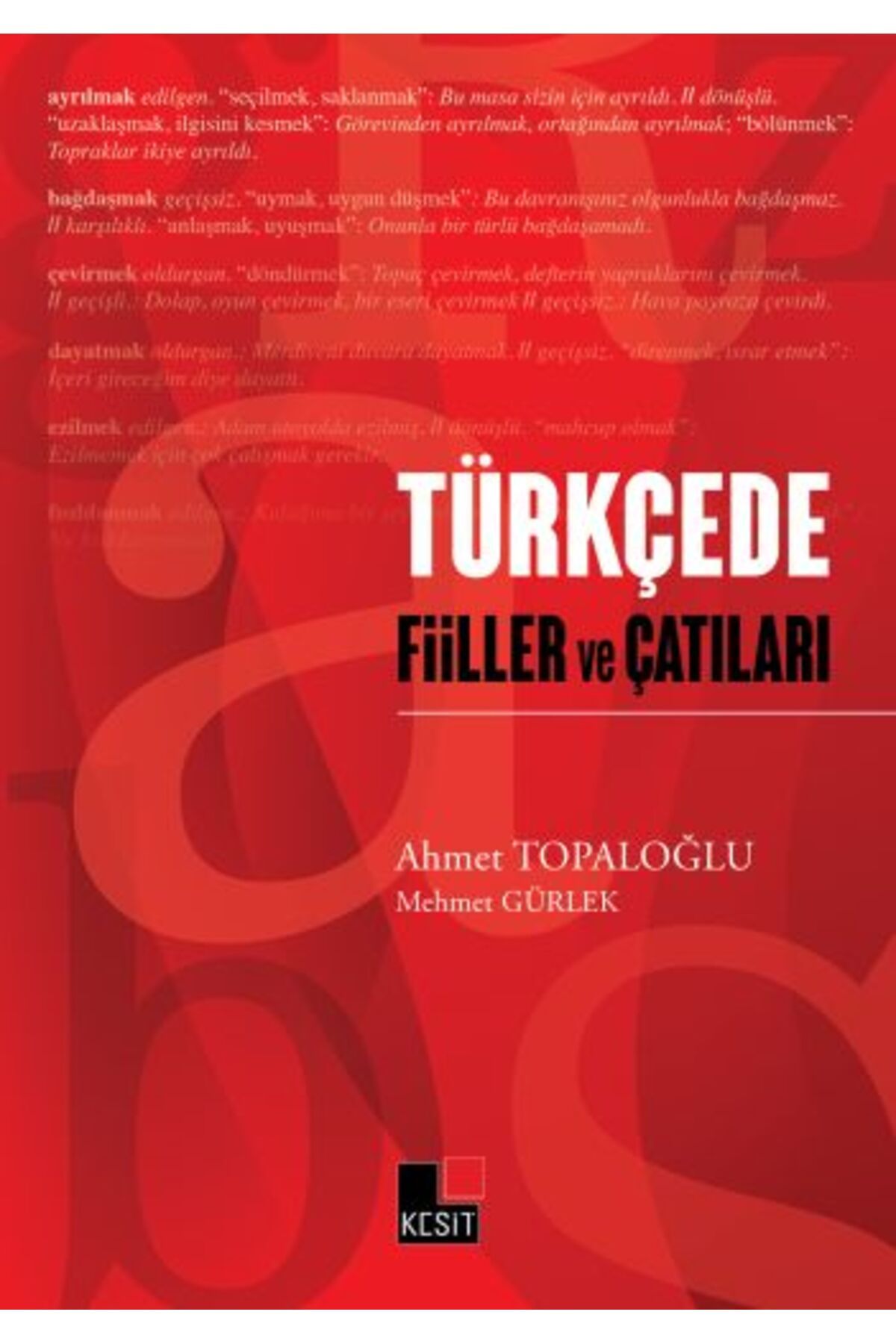 Kesit Yayınları Türkçede Fiiller ve Çatıları