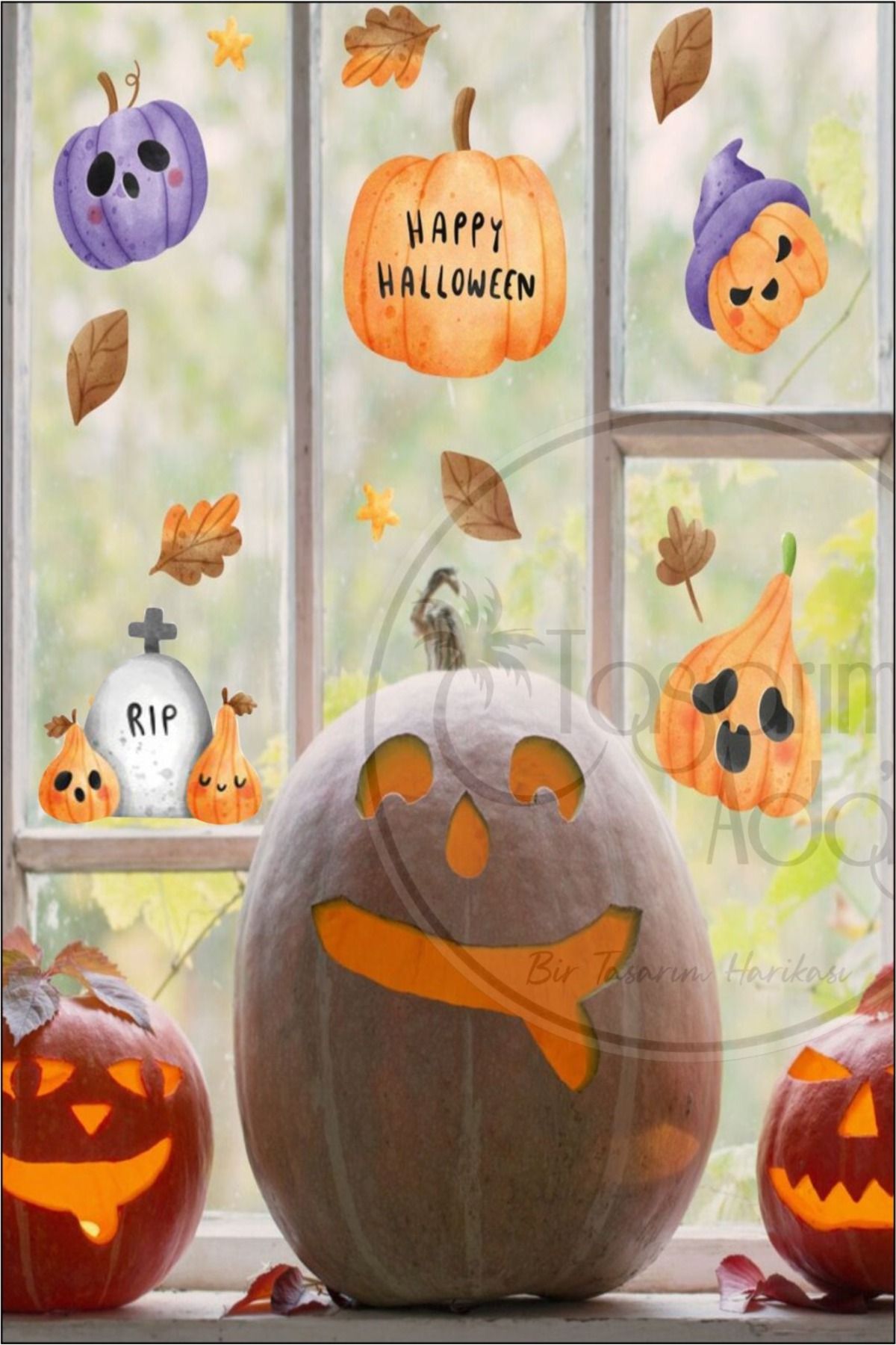 Tasarım Ada'sı Halloween Cadılar Bayramı Turuncu Kabaklar Dekoratif Sticker