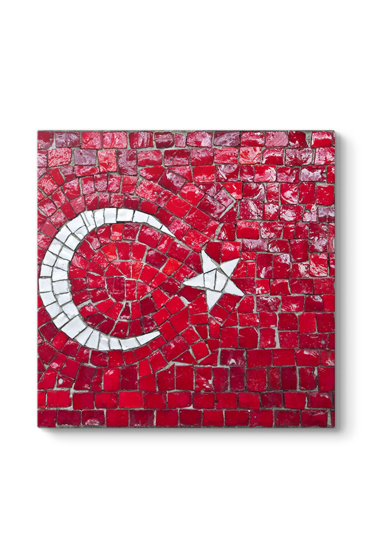 TabloShop Dekoratif Türk Bayrağı Tablosu