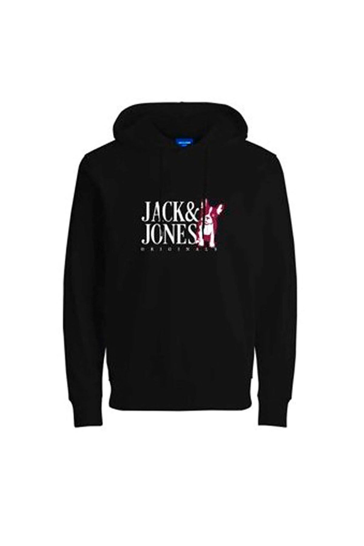 Jack & Jones Erkek Kapşonlu Sweatshirt 12244219