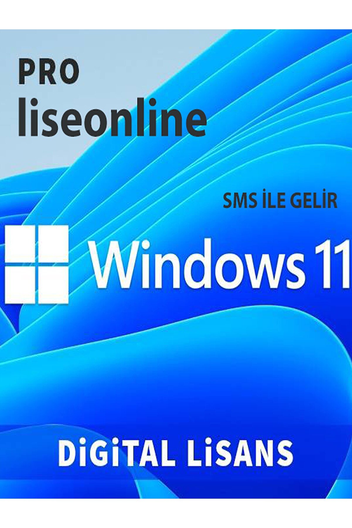 lisonline Kkkkskks Windows 11 Pro Tr Dijital Lisans Anahtarı Digital Product Sms Ile Gelir
