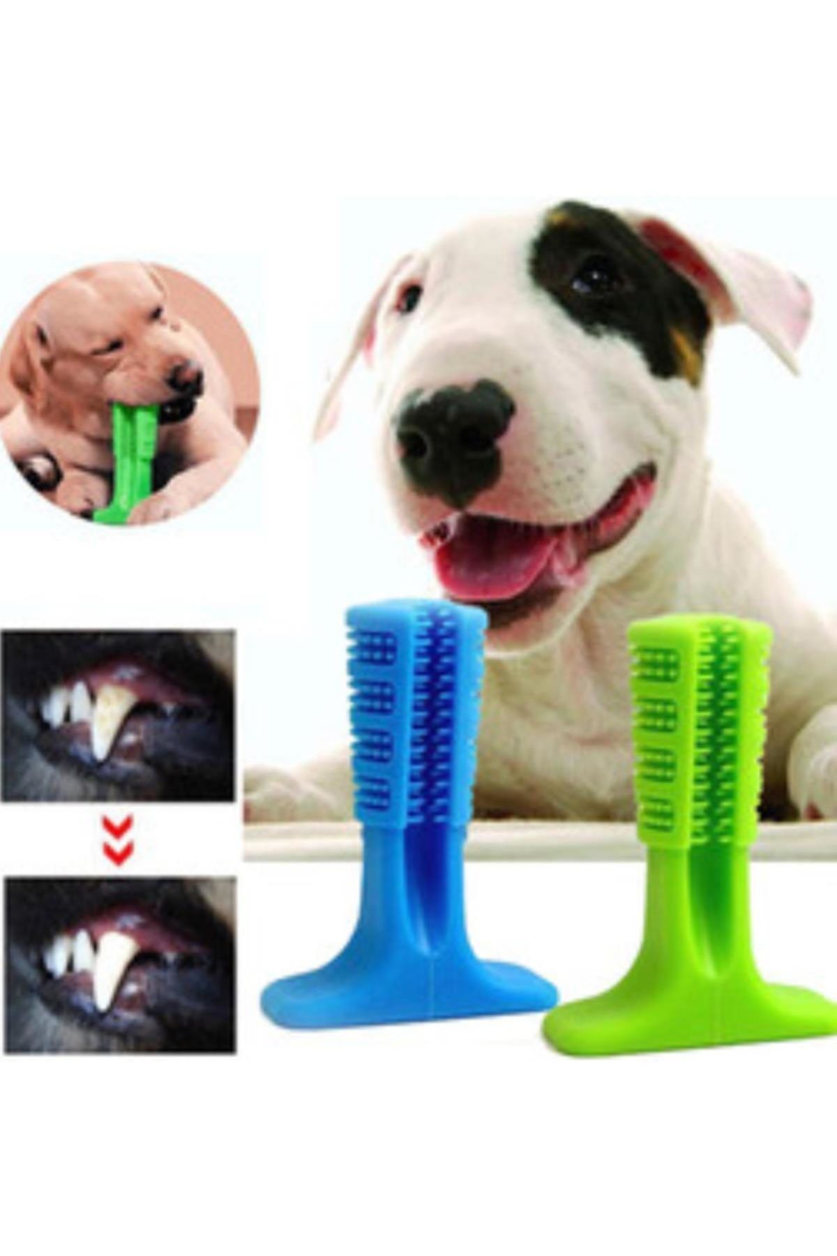 Buffer Köpek Diş Temizleyici Oyuncak Küçük