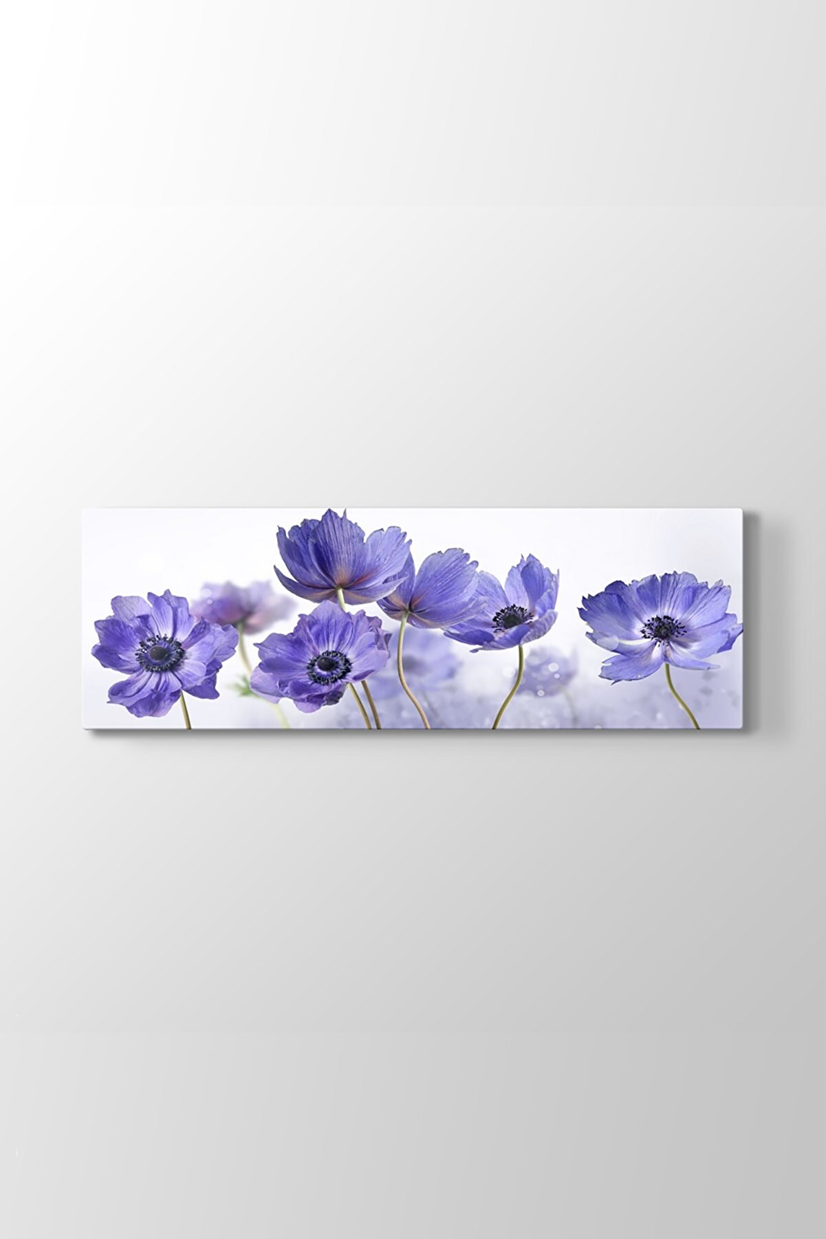 TabloShop Gelincik Çiçeği Art Tablosu (Model 4) - (ÖLÇÜSÜ 150x50 cm)