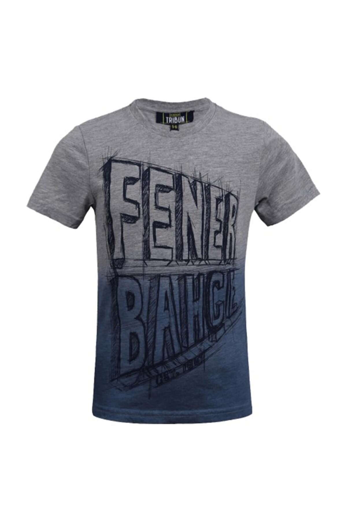 Fenerbahçe Erkek Çocuk Gri Trıbun Perspektıf  Spor T-Shirt