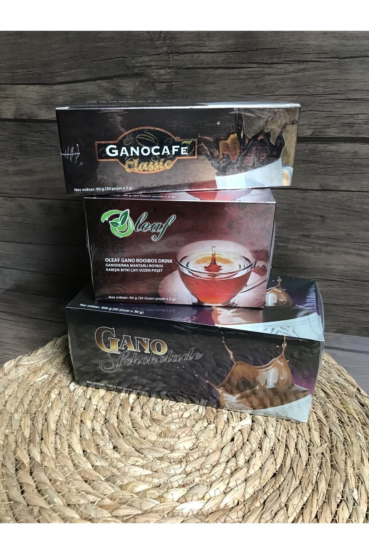 GanoExcel Gano 3 Lü Seti Classic +roiboos + Sıcak Çikolata