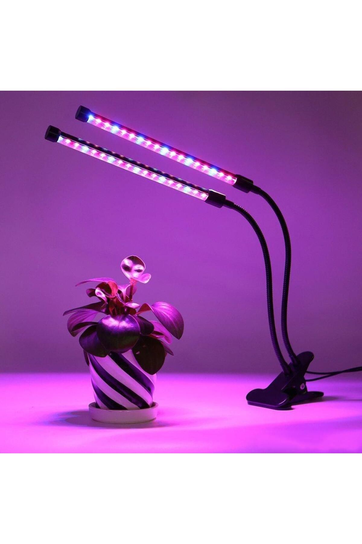 Coverzone Bitki ve Çiçek Büyütme Işığı Tam Spektrumlu Büyüme Lambası 2 Kollu Işık Modu SY-LED2