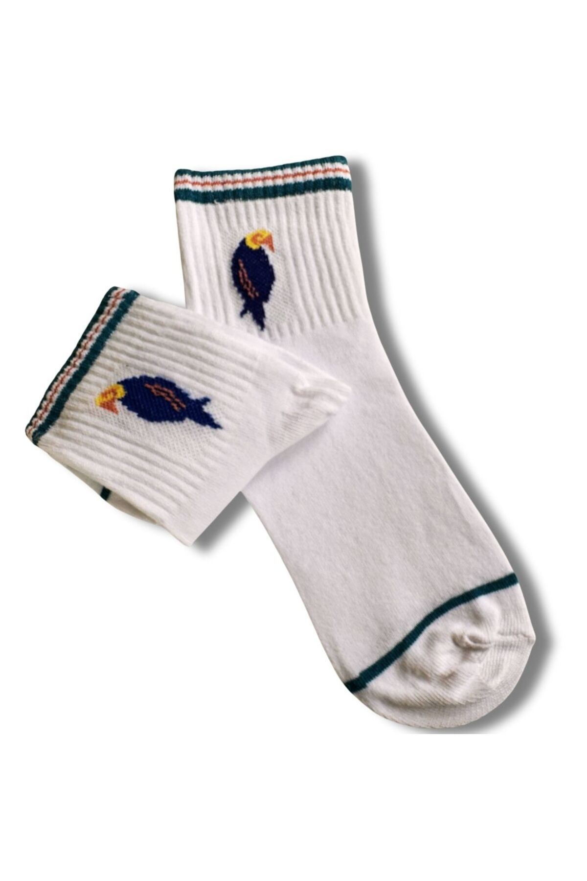 anonim Özel Kuş Serisi : Mavi Papağan Baskılı Unisex Soket Çorap