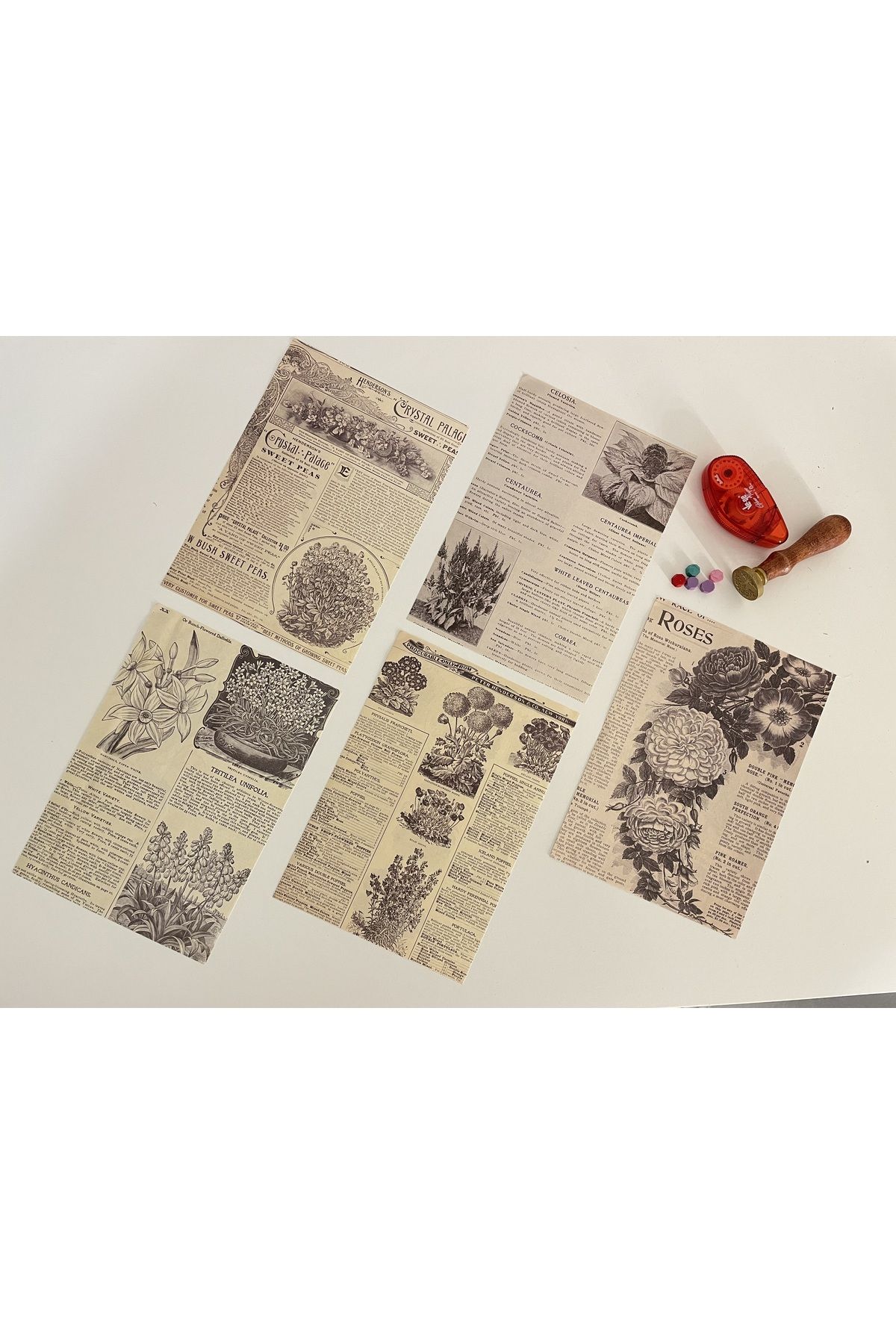 SF SCRAPBOOK KIRTASİYE Vintage, Bitki, Çiçek Kağıt Temalı Journal Set, Scrapbook, Bullet, Galeri Duvarı, Sanatsal Baskı/3