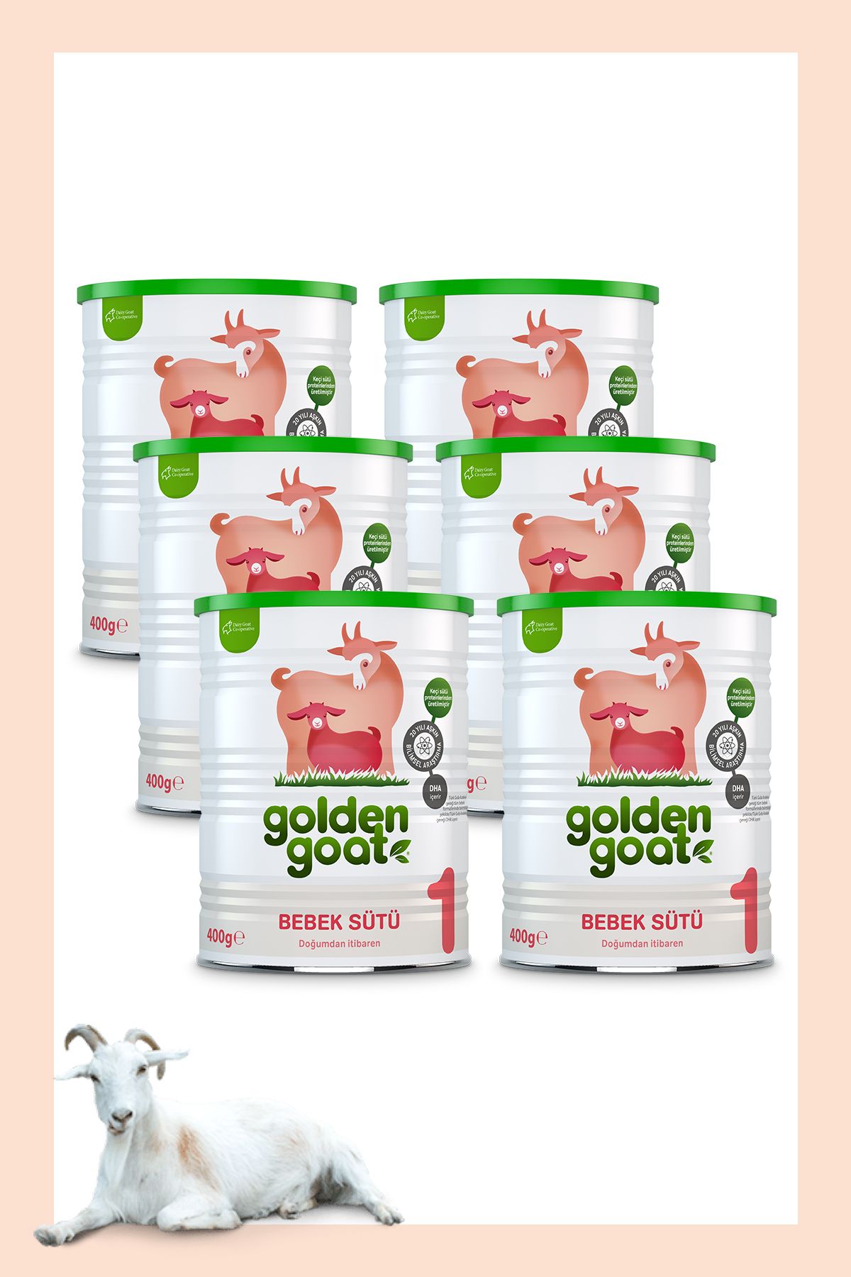 Golden Goat Keçi Bebek Sütü 1 Numara 400 Gr 6'lı Paket
