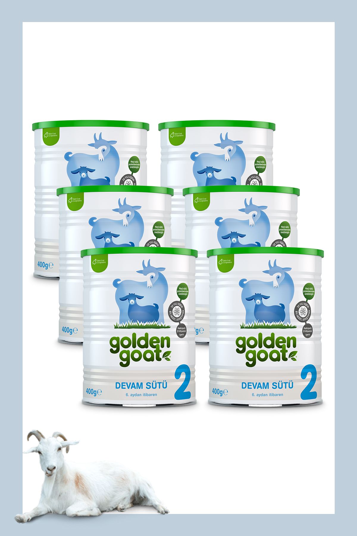 Golden Goat Keçi Devam Sütü 2 Numara 400 Gr 6'lı Paket