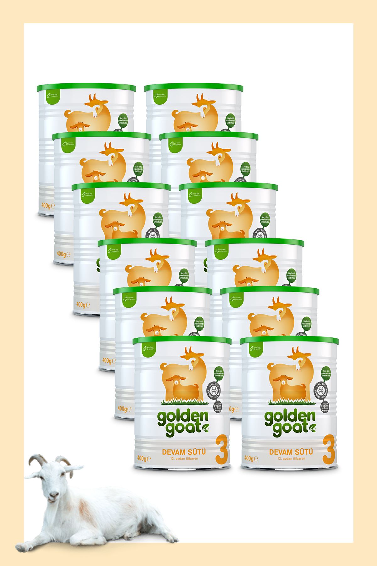 Golden Goat Keçi Devam Sütü 3 Numara 400 Gr 12'li Paket