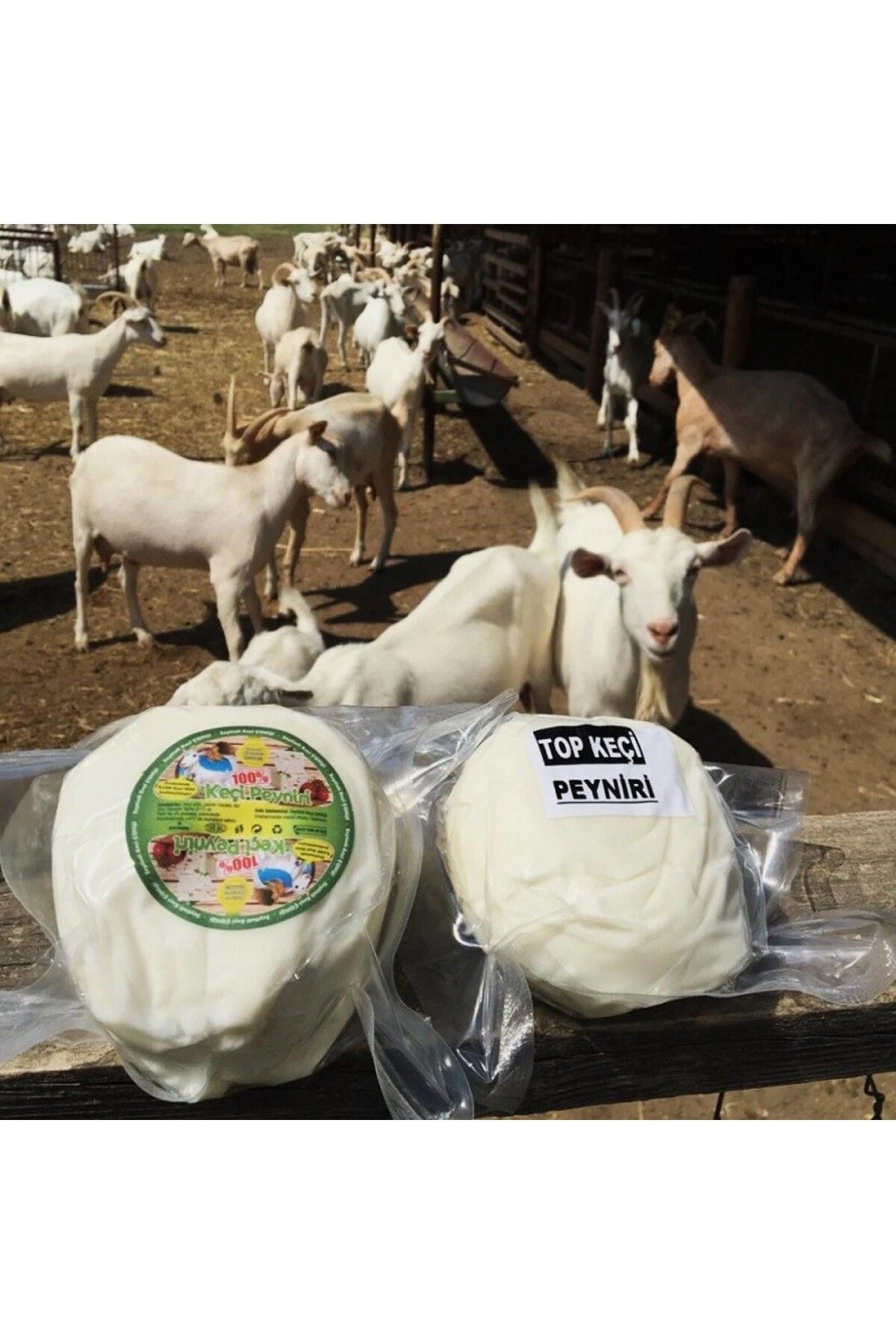 Zeytinli Keçi Çiftliği Salamurada Dinlendirilen %100 Keçi Sütlü Kaya Tuzlu Şirden Mayalı Sert Top Keçi Peyniri 500Gr