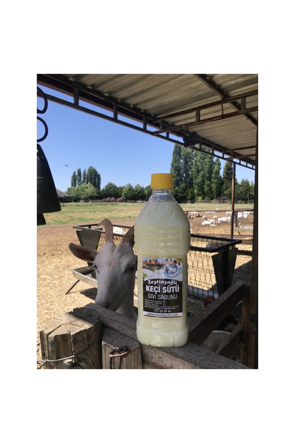 Zeytinli Keçi Çiftliği Nemlendirici Temizleyici Kırışıklık Leke Azaltan En Doğal Zeytinyağlı Keçi Sütü Sıvı Sabunu 1000 ml