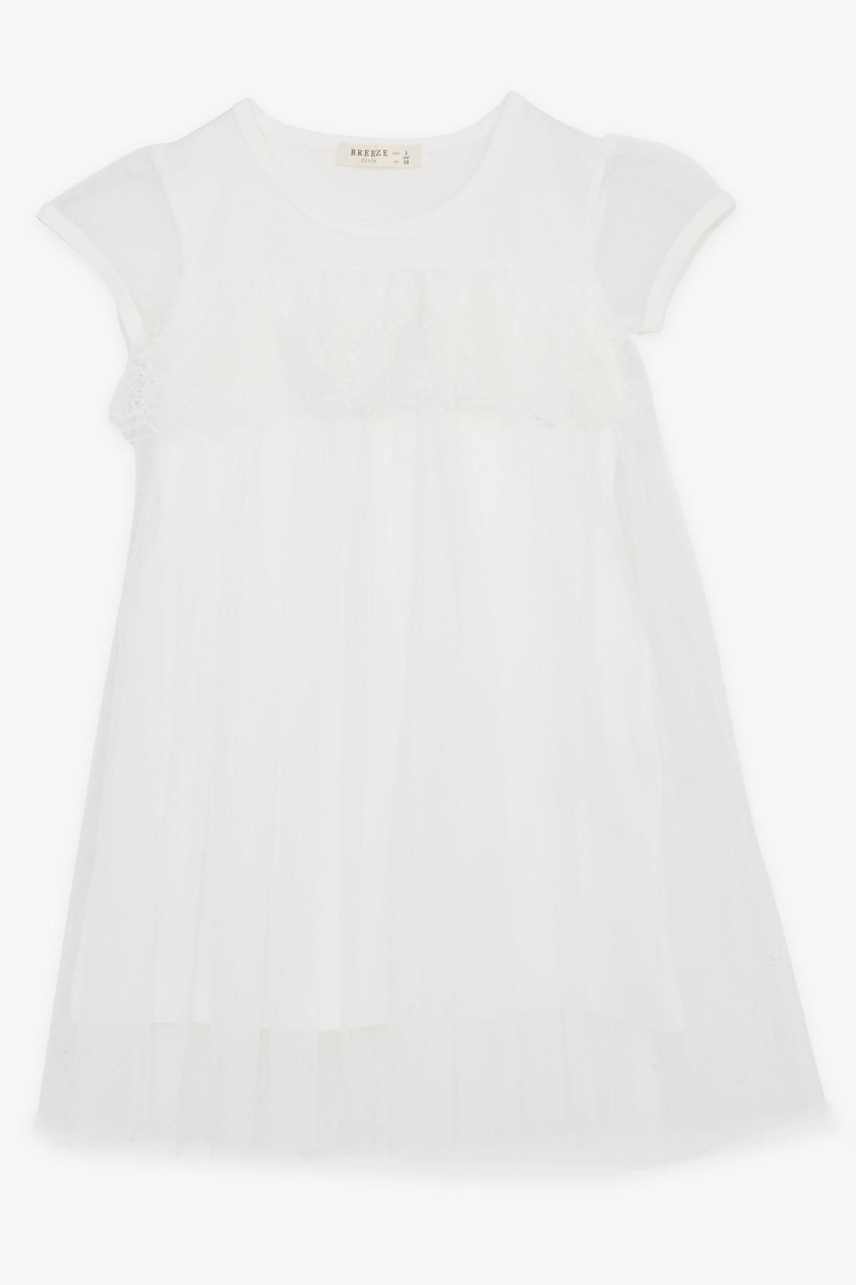 Breeze Kız Çocuk Elbise Nakışlı Tüllü 2-6 Yaş, Beyaz