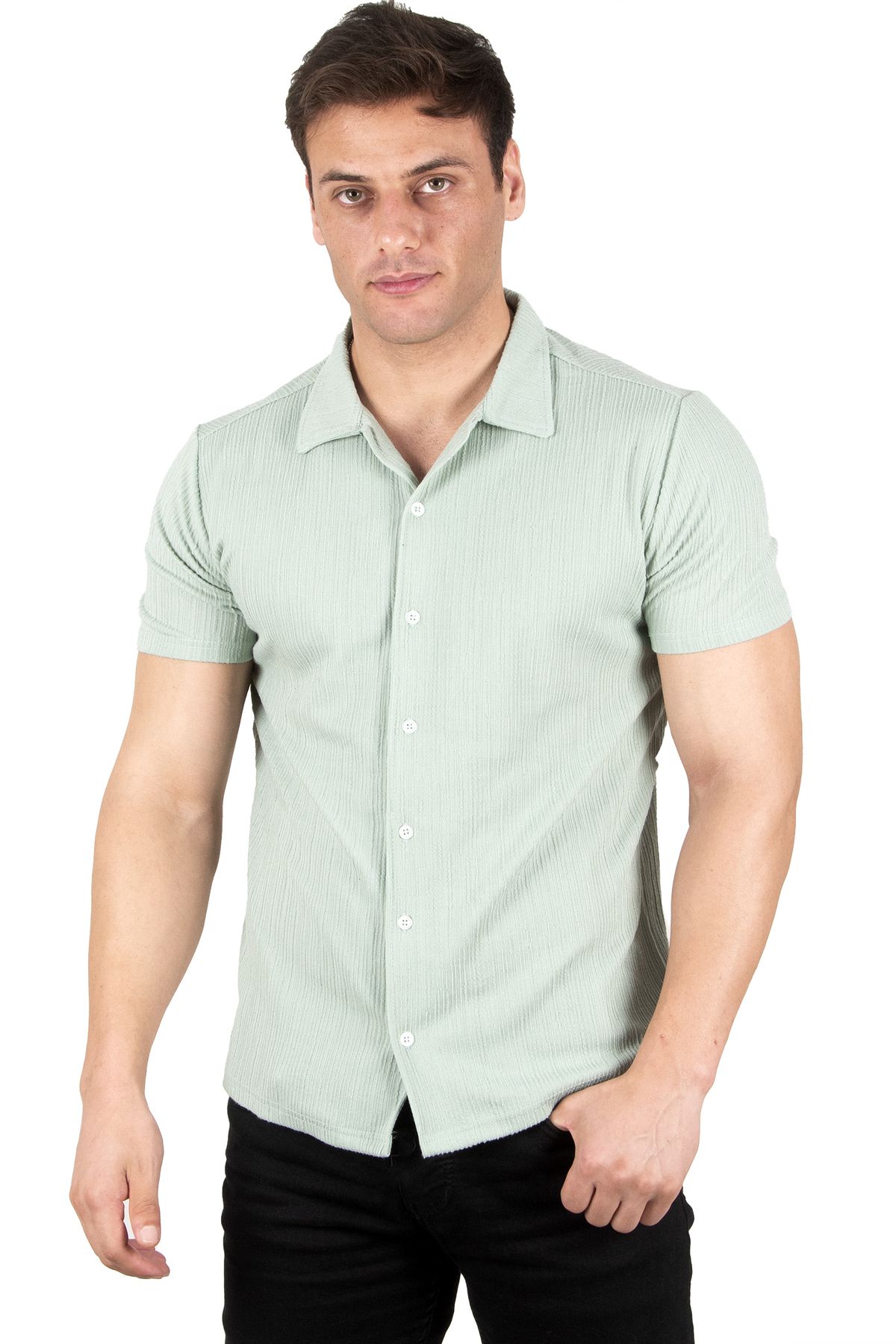 DeepSea Erkek Mint Yeşili Çizgi Desenli Kısa Kollu Düğmeli Likralı Penye Gömlek 2302323