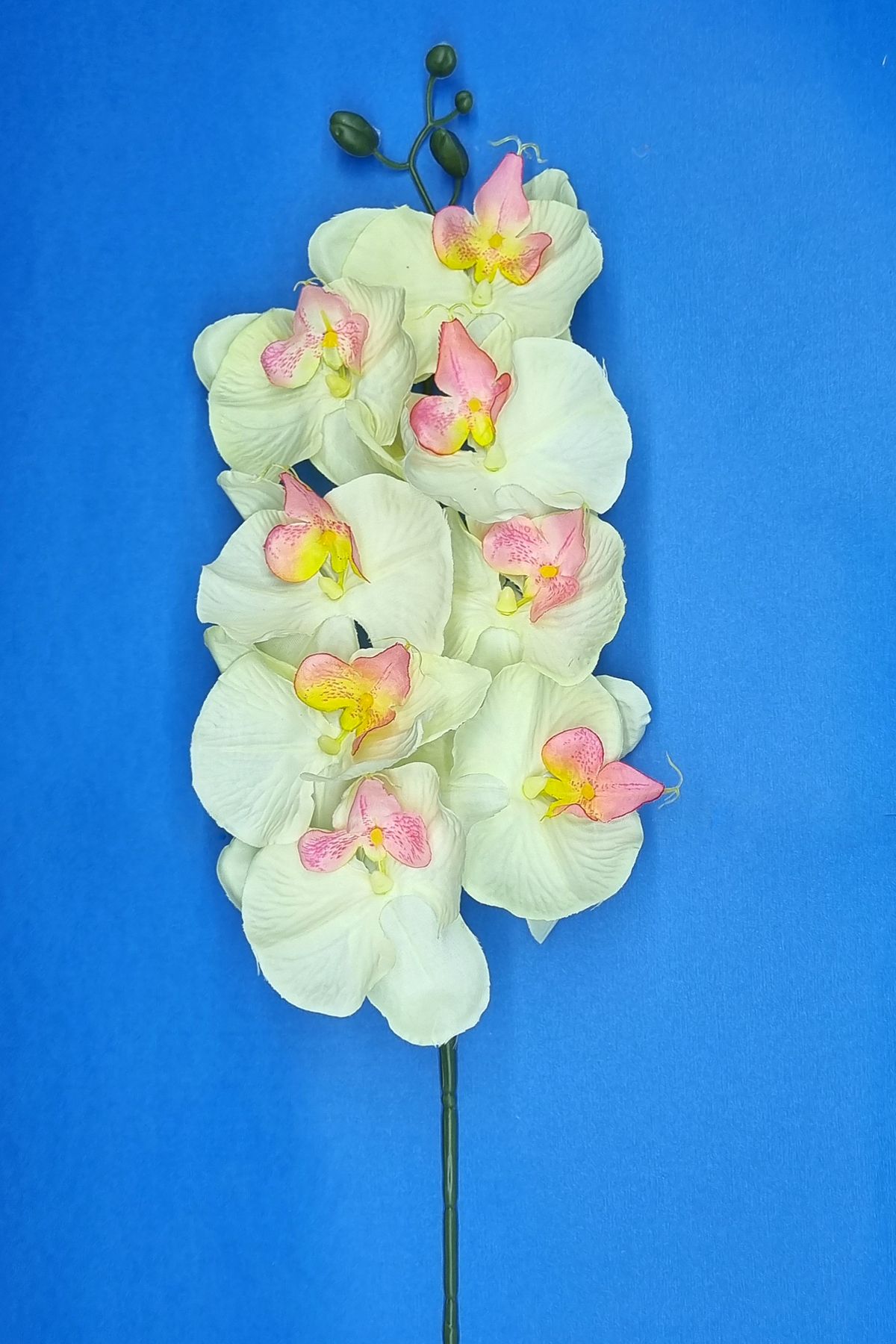 MD Aspiz Flowers 2 Adet Büyük Yapay Orkide Çiçeği .... Sarmaşık Pampas Sarkan Lale Saksı Pamuk Buketi Yaprak Ağaç Gul