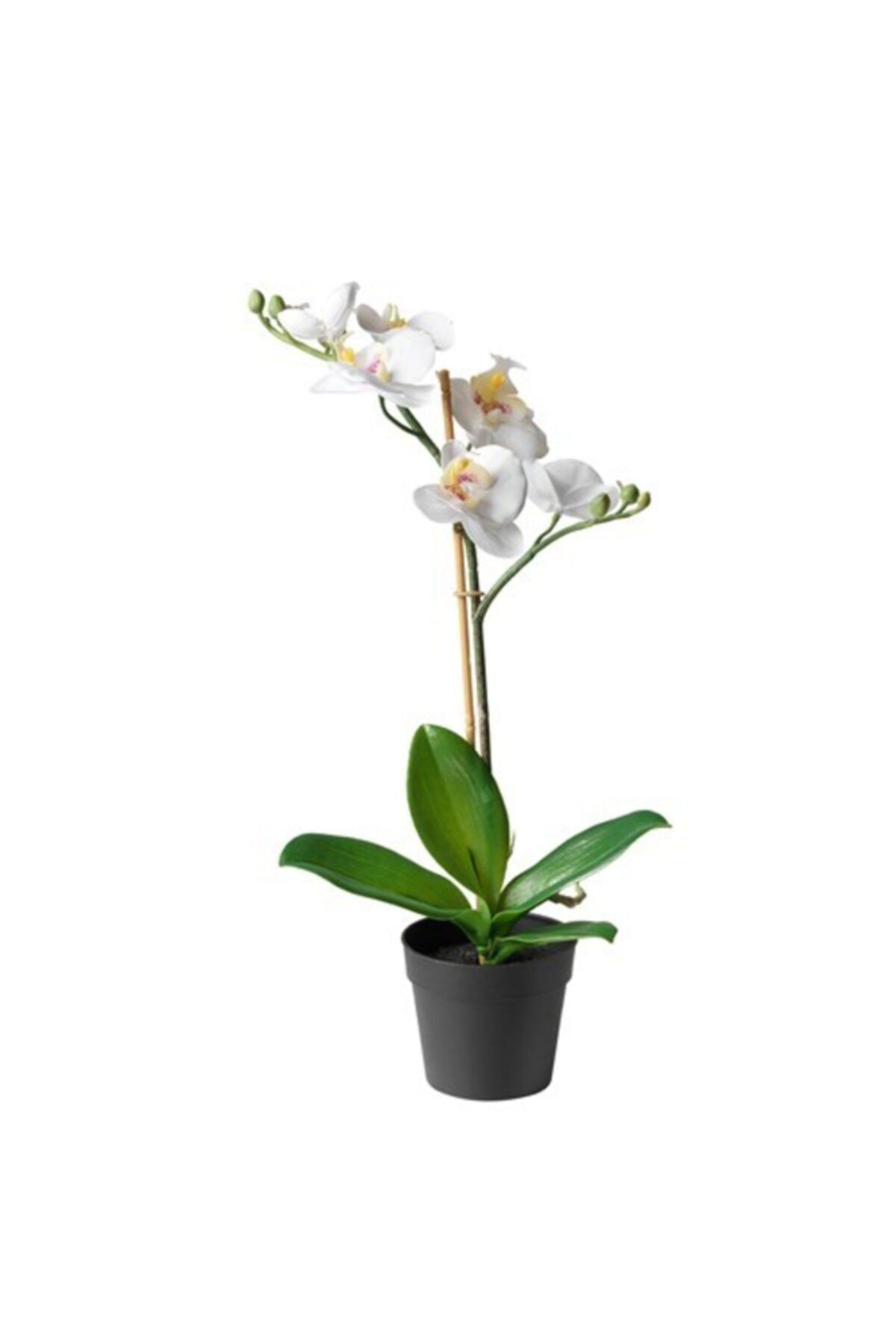 IKEA Yapay Orkide Beyaz Renk Meridyendukkan 9 Cm Yapay Çiçek Orkide