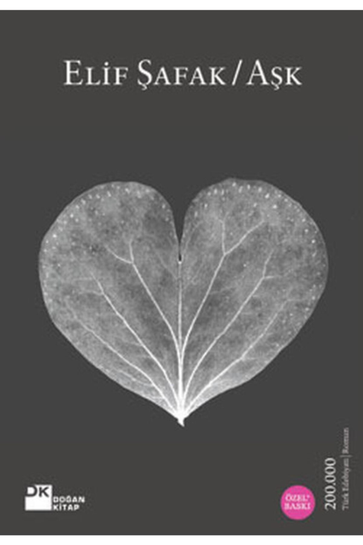 Doğan Kitap Aşk (gri Kapak) | Elif Şafak |