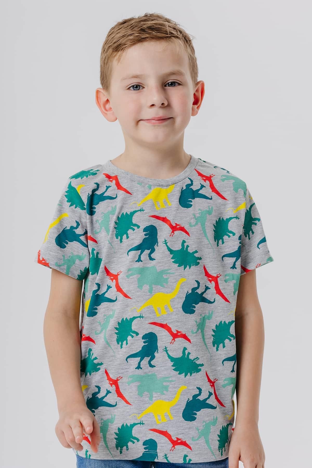 Breeze Erkek Çocuk Tişört Renkli Dinozor Baskılı 5-9 Yaş, Gri Melanj
