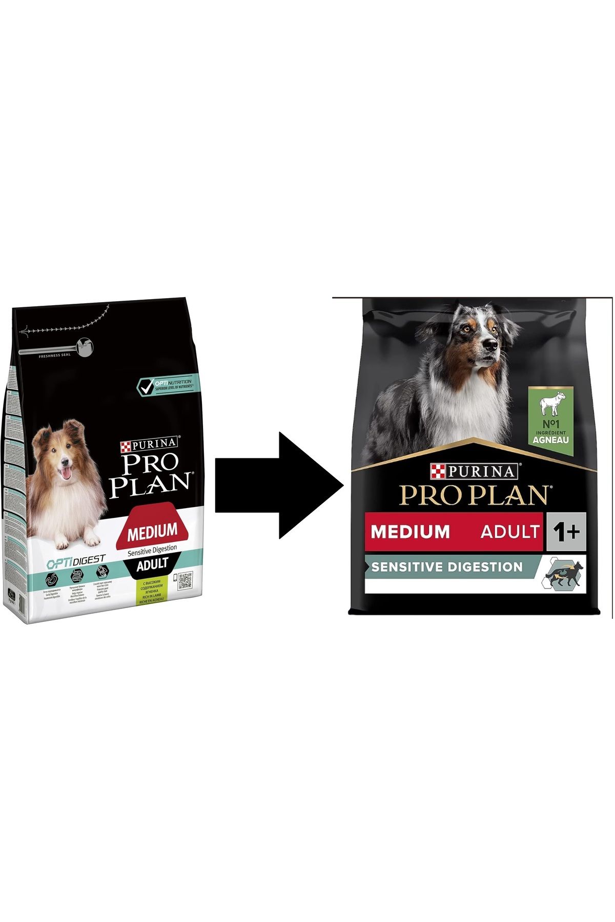 Purina Proplan Medium Adult Kuzulu Orta Irk Yetişkin Köpek Maması 3 KG - META PET