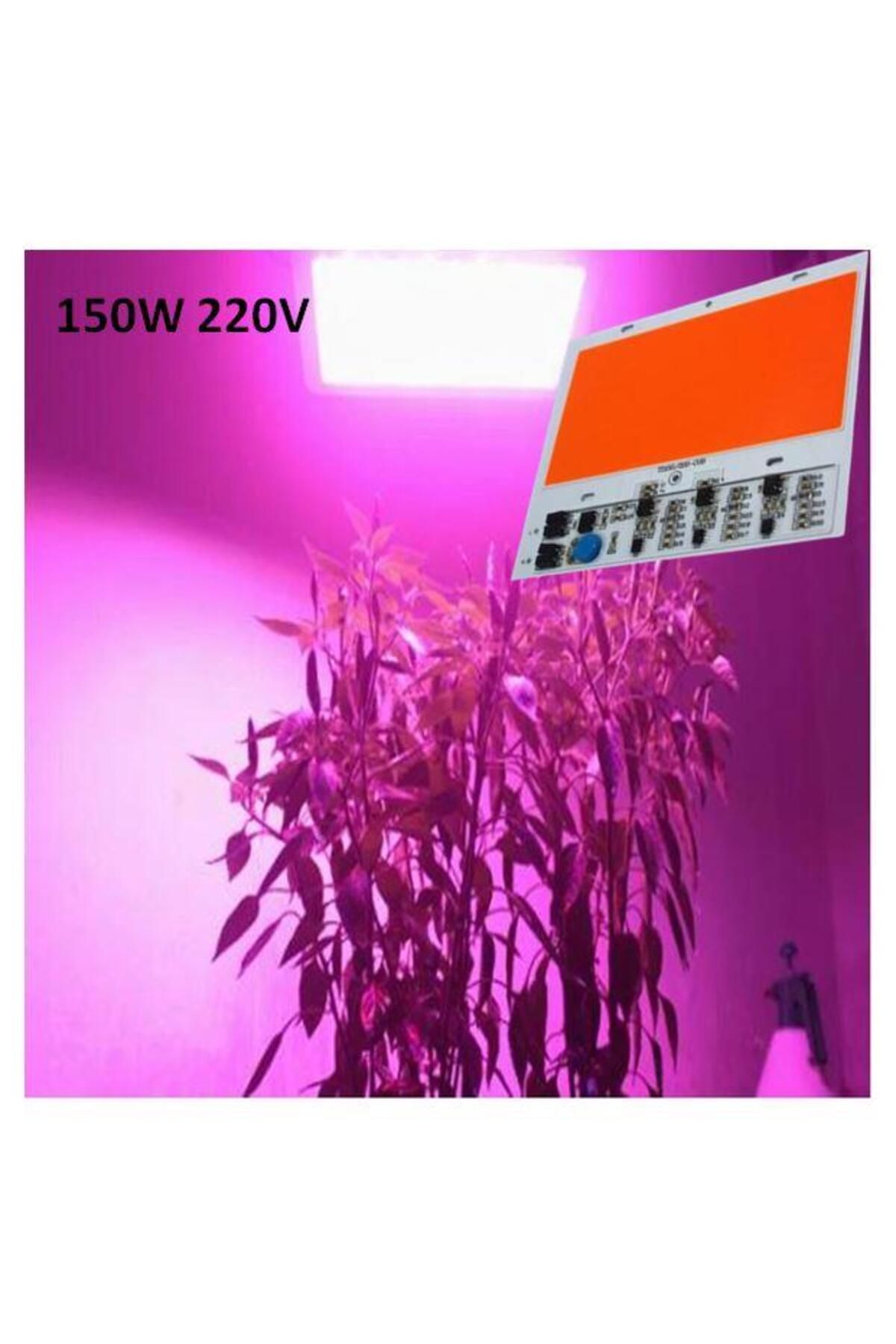 Chenzon Tam Spektrum 380-840nm Uv Led Dob Topraksız Tarım Bitki Büyütme 150w 220v