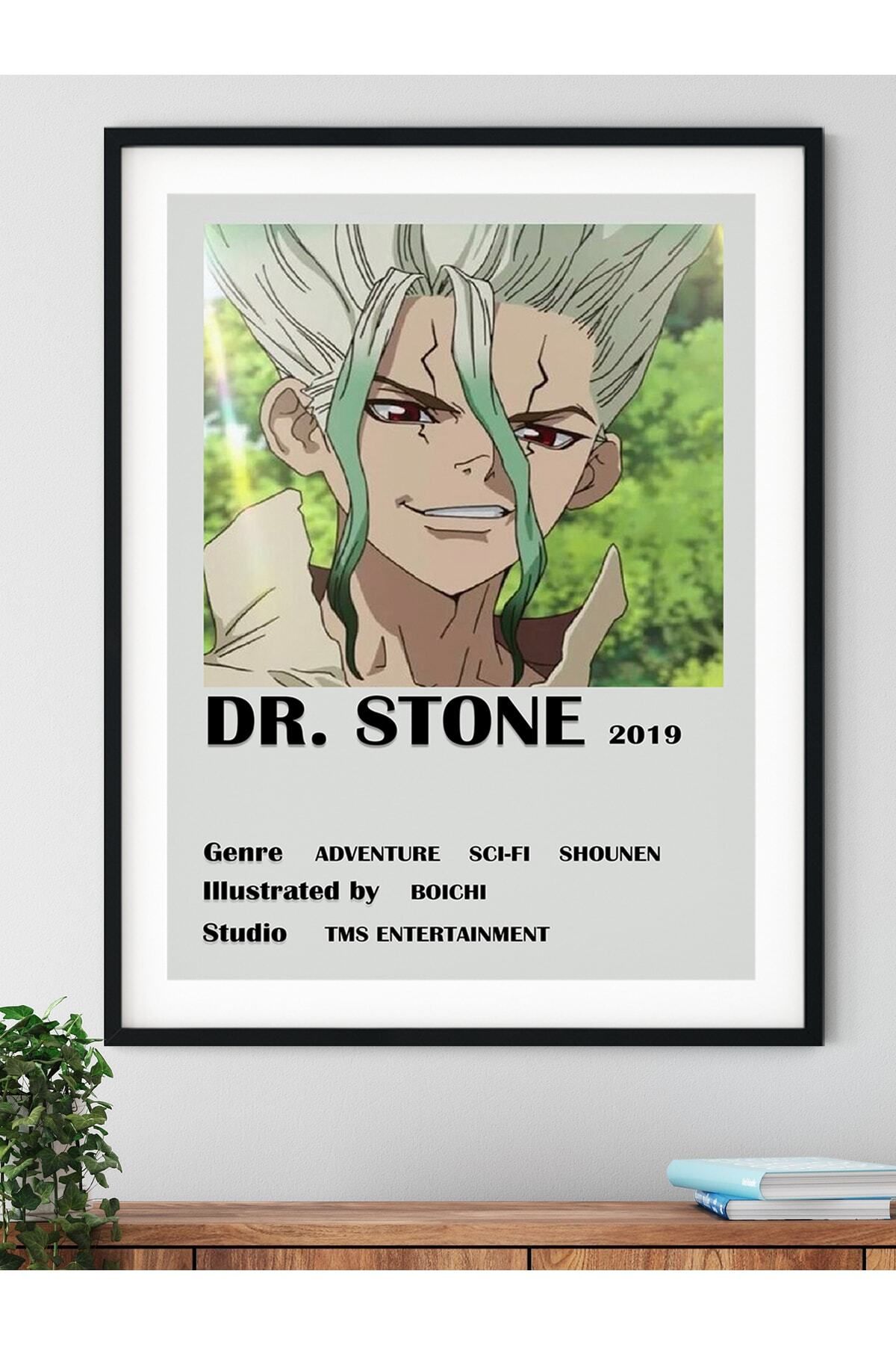 postifull Dr. Stone Anime Poster - Anime Ve Manga Duvar Dekoru - Çerçevesiz - Kalın Kuşe Kağıt