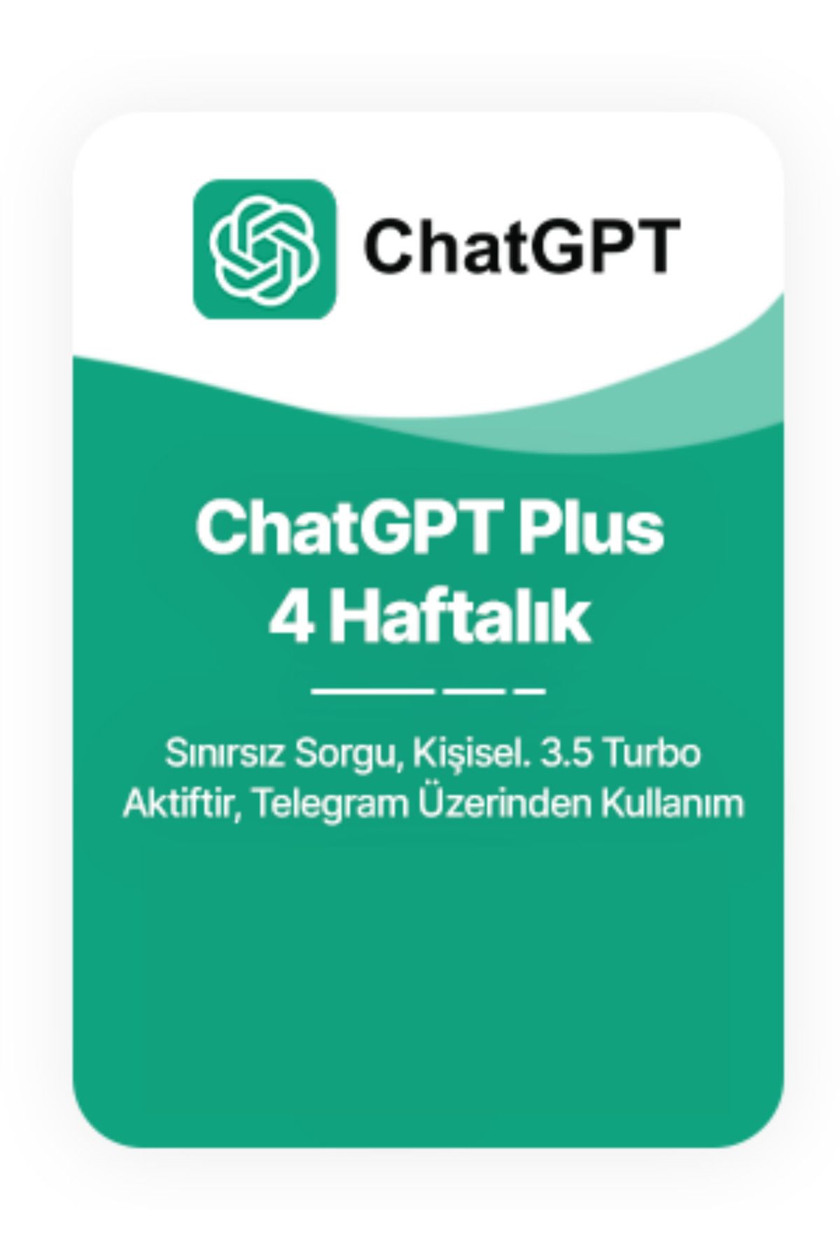 openai ChatGPT Plus 4 Haftalık