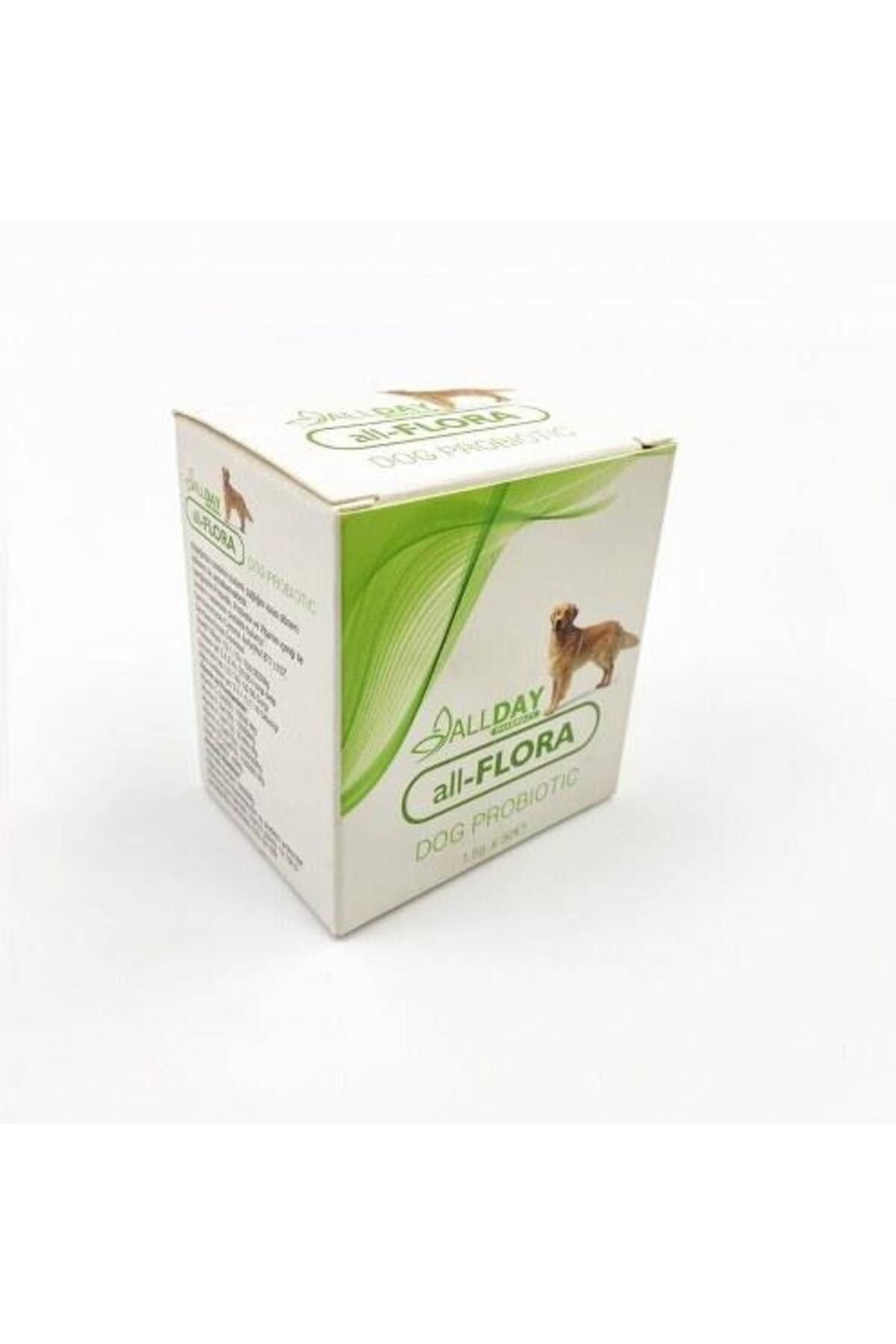 ALLDAY Flora Dog Köpek Sindirim Sistemi Düzenleyici Probiotic 1,5gr*30