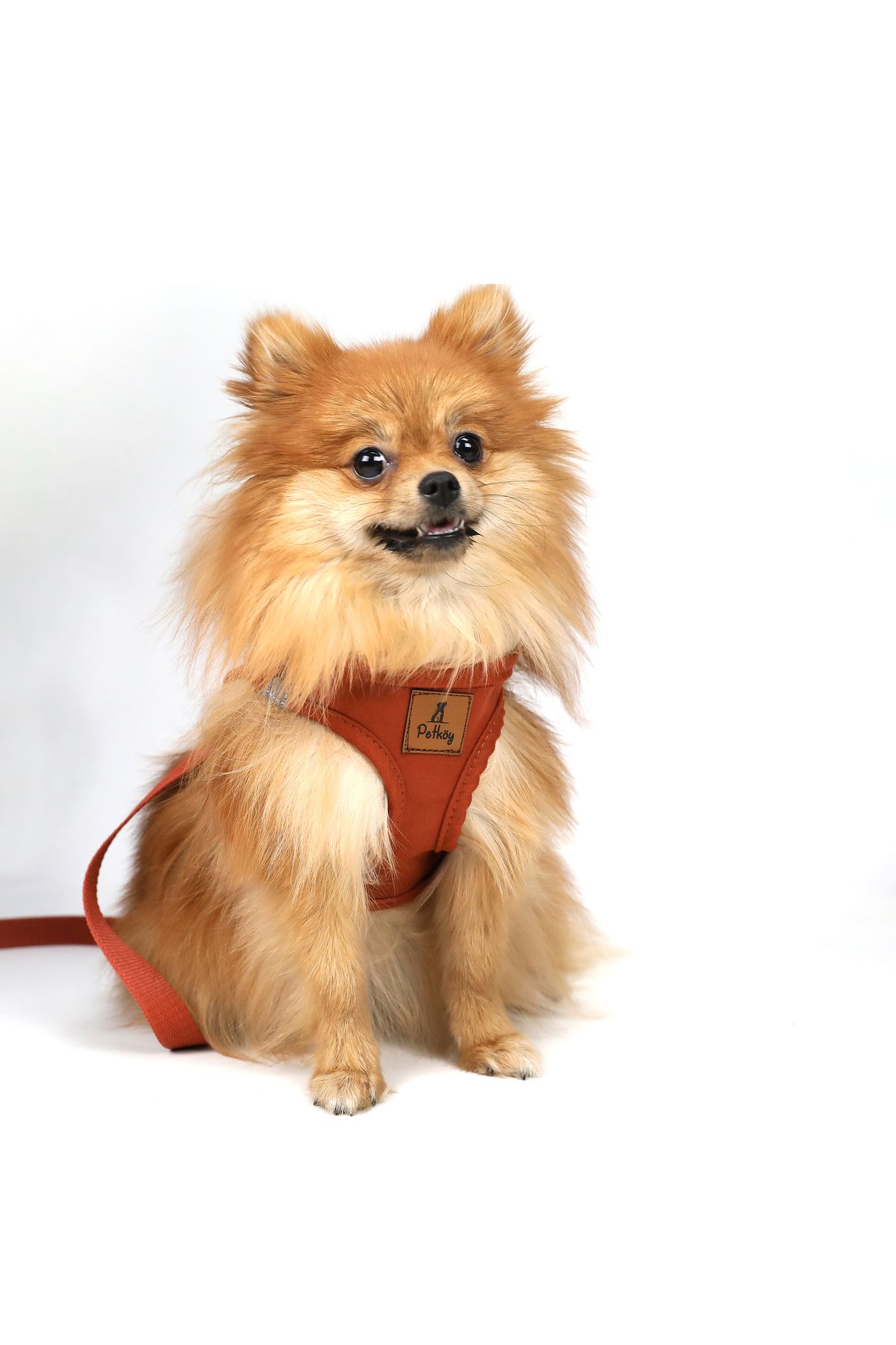 Petköy Köpek Göğüs Tasması Seti Kayış Yanında Gönderilir Köpek Gezdirme Tasması Köpek Tasması