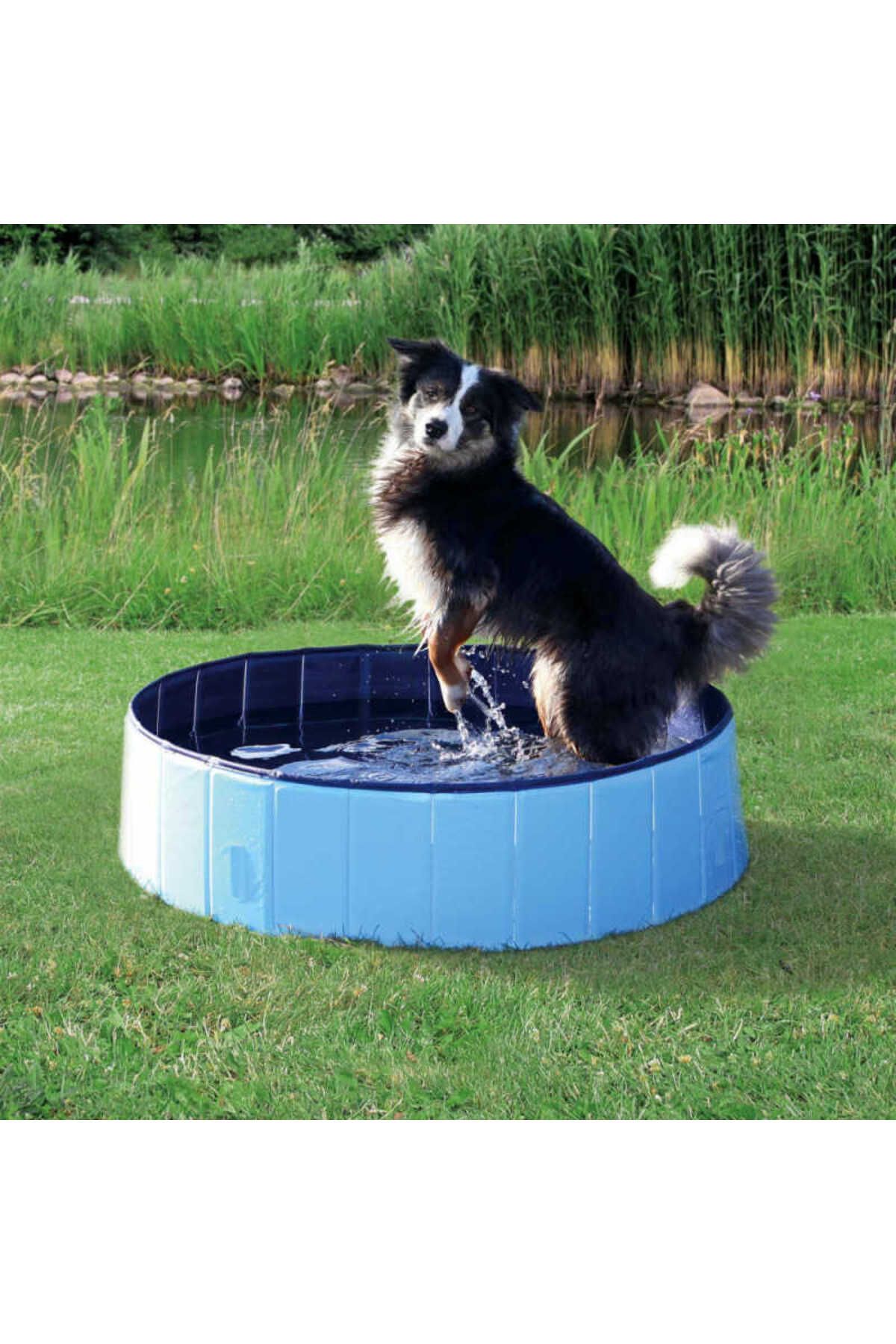 Trixie Köpek Havuzu Çap 80cm Derinlik 20cm - FarmaPets