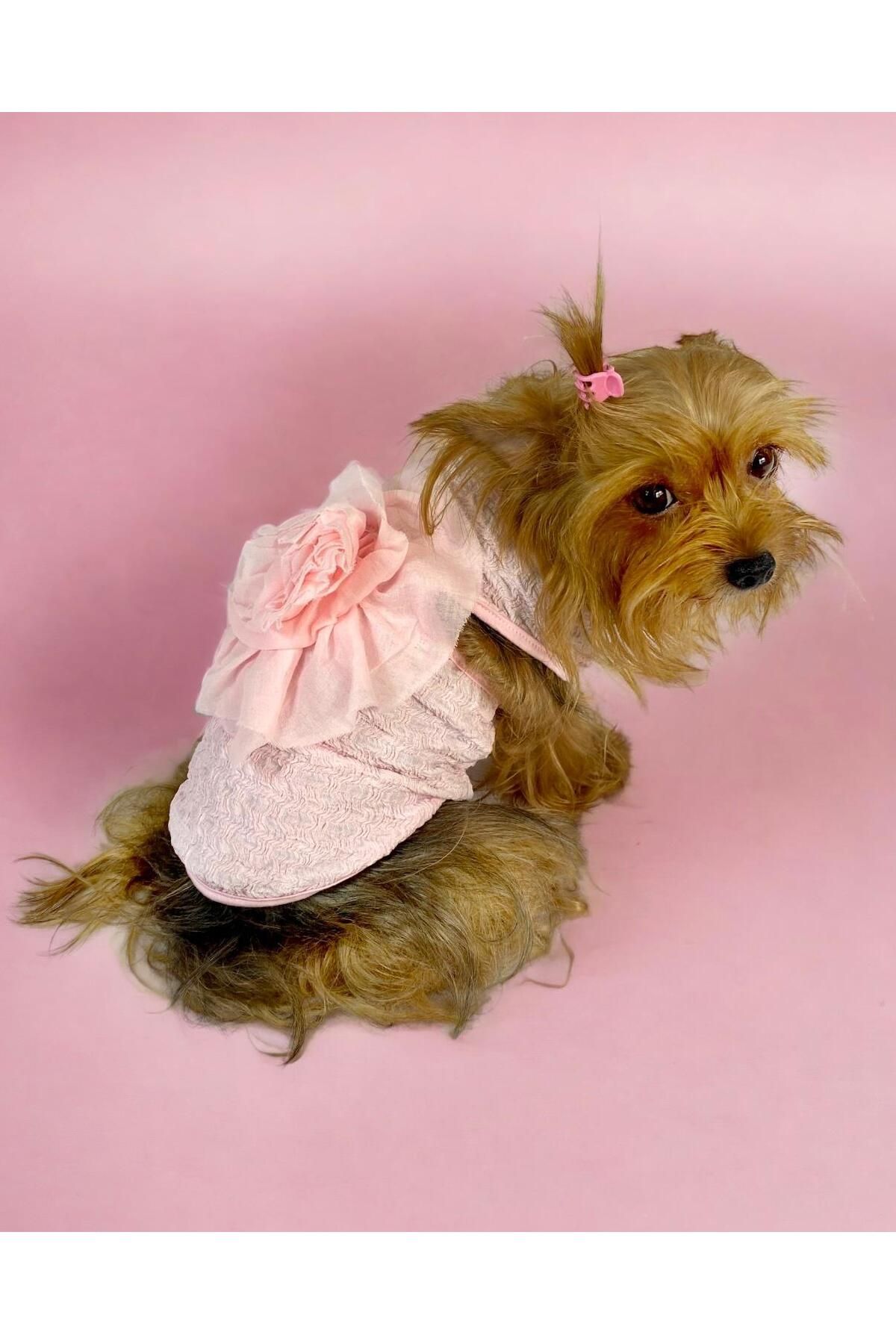 Kemique Rosie Rose Tişört Köpek Kıyafeti Köpek Elbisesi Köpek Kostümü