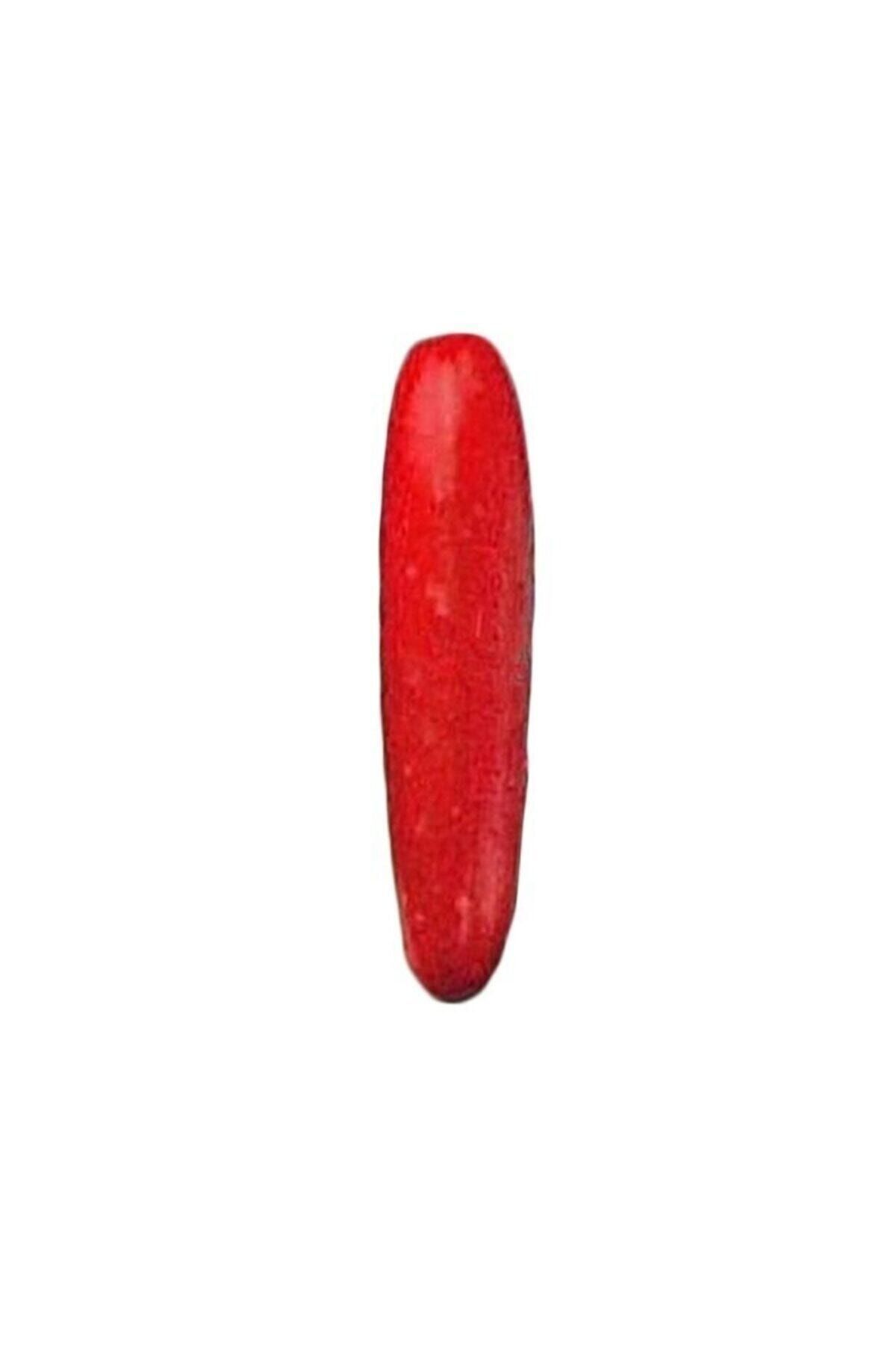 Tohum Dünyam Nadir Ithal Kırmızı Salatalık Tohumu 5 Adet Tohum Red Cucumber