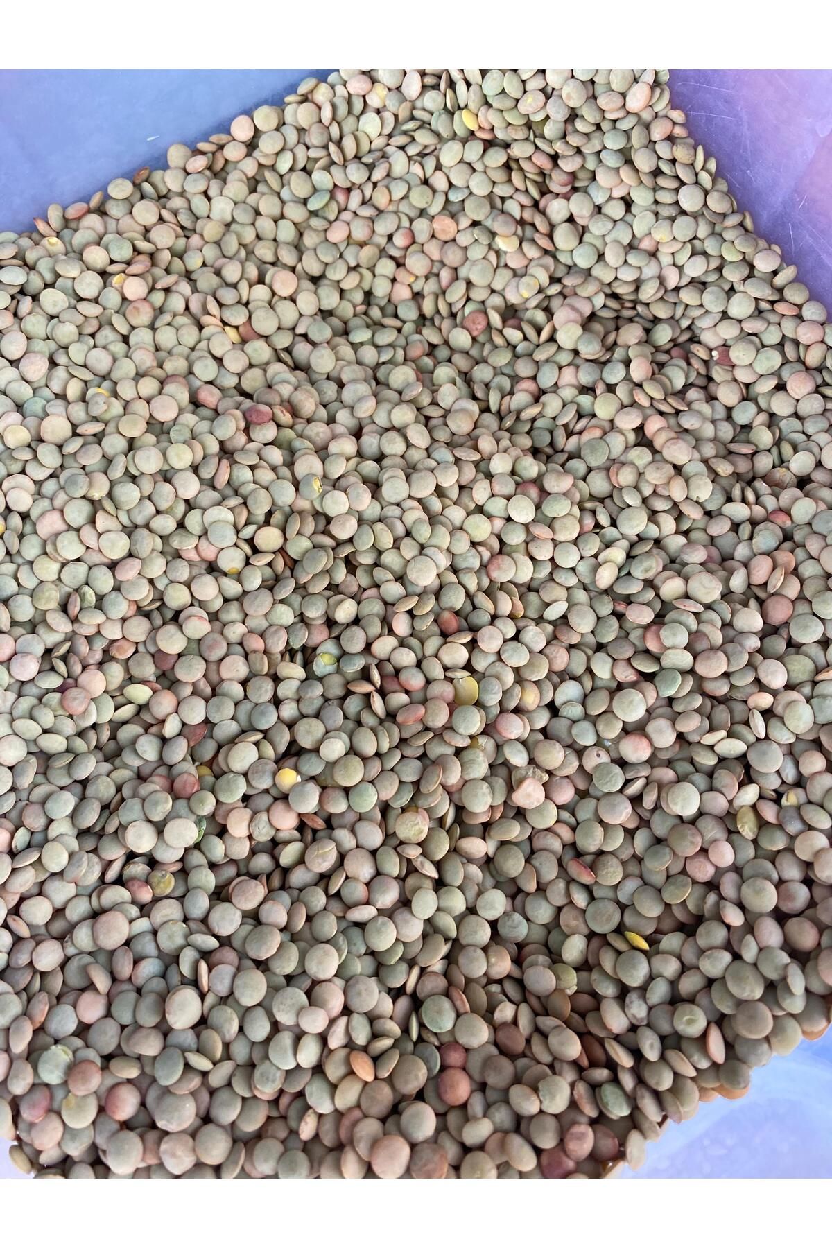 Doğal Yerli Köy Yeşil Mercimek 1 Kg