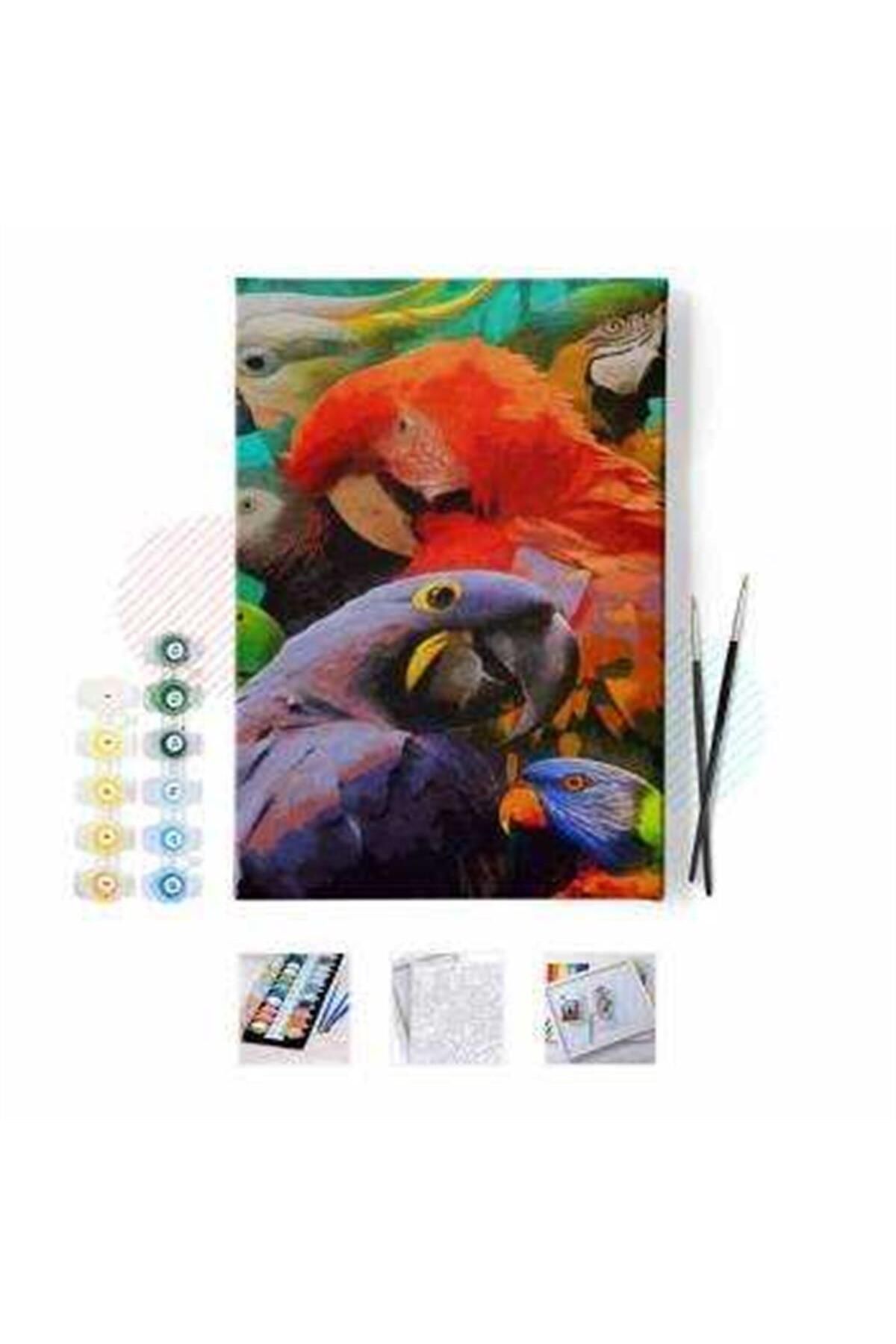 WebStyle Sayılarla Boyama Seti Çerçeveli Kasnaklı Renkli Papağanlar 40 x 50 cm