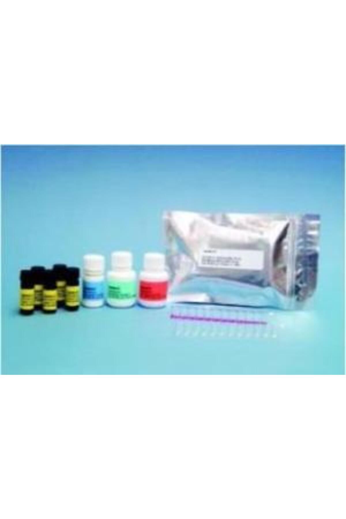 Neogen Veratox Deoksinivalenol (don) Test Kiti