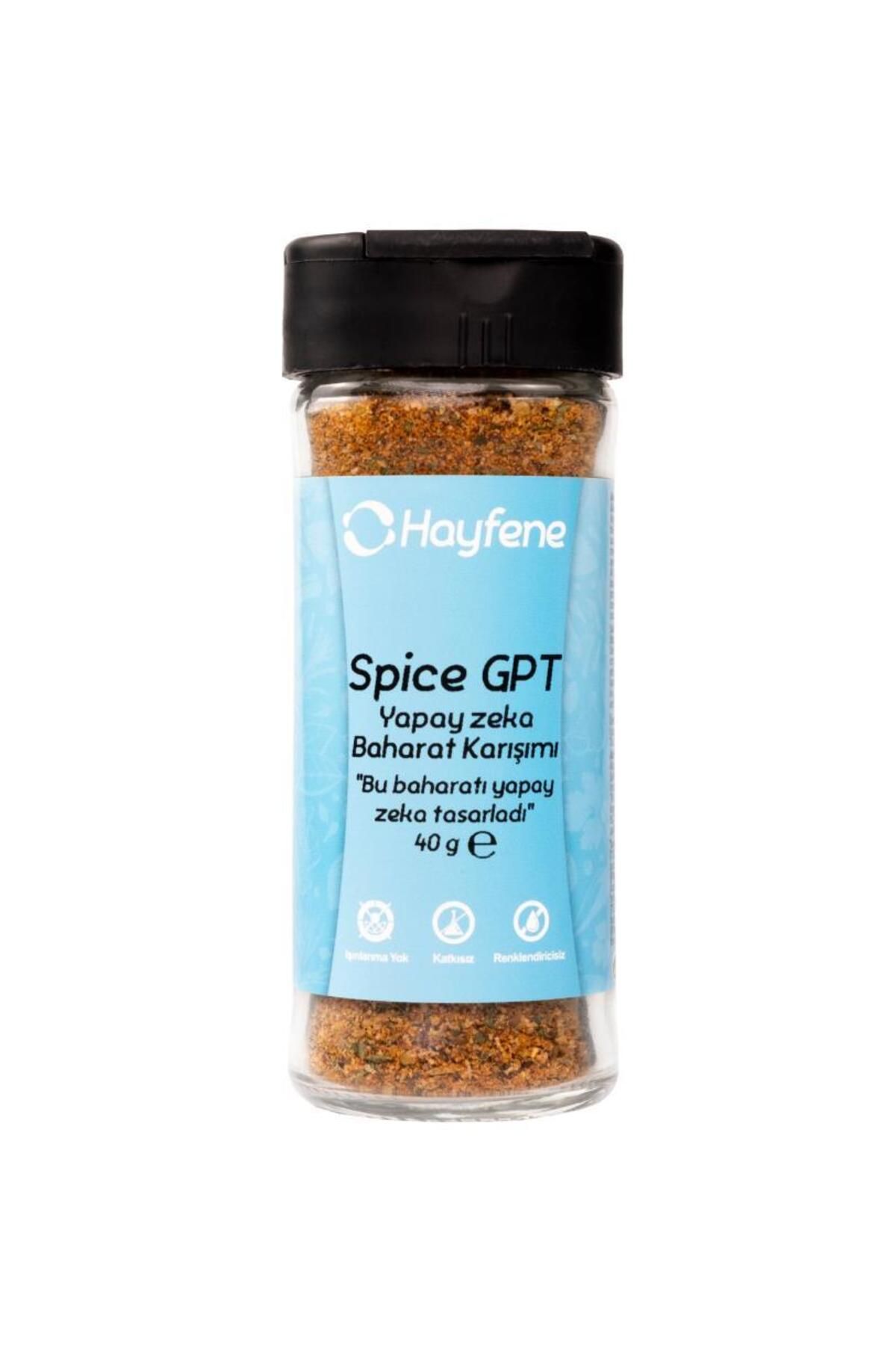 Hayfene Spice GPT - Yapay Zeka Baharat Karışımı 40 gr