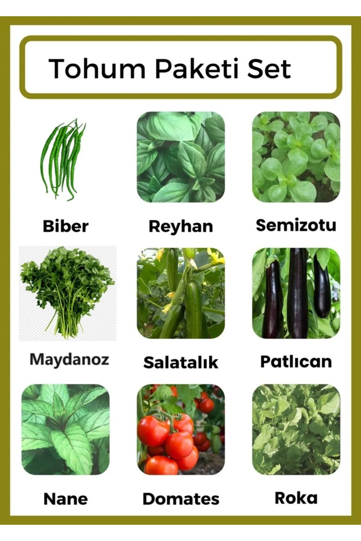 Ziraat Evim Biber-Reyhan-Semiz Otu-Maydanoz-Salatalık-Patlıcan-Nane-Domates-Roka Tohumu 3000 Adet