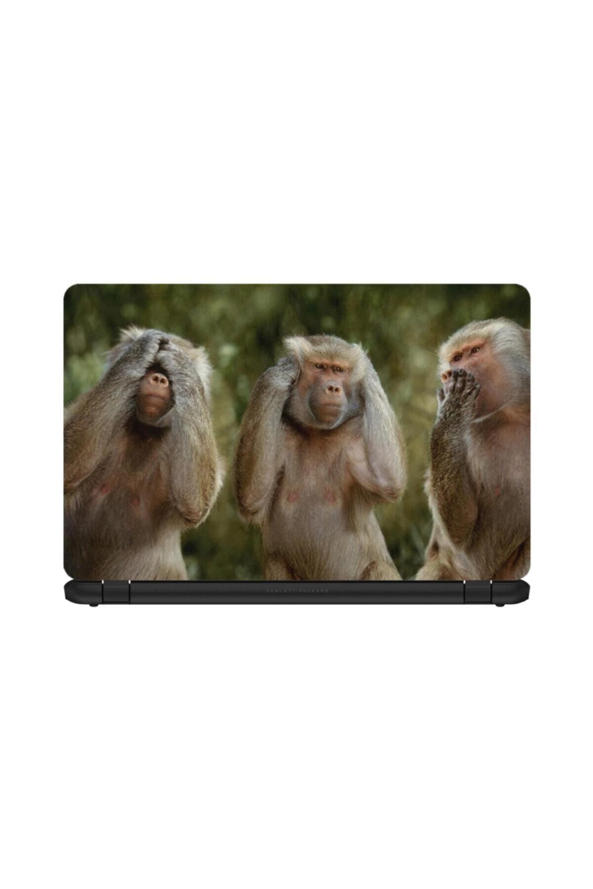 KT Decor Funny Animals-10 Üç Maymun Laptop Sticker