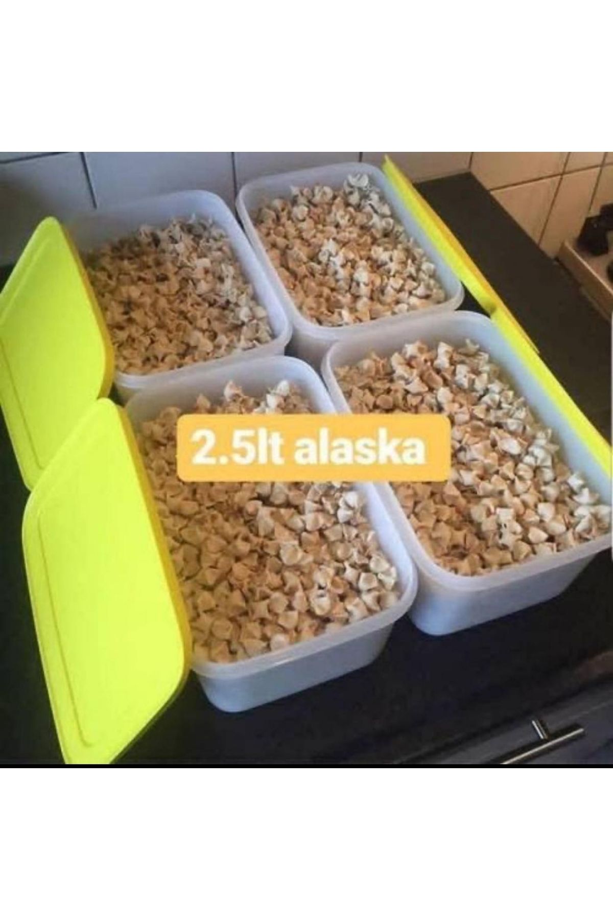 Tupperware 4 Adet 2.5 LT Alaska
