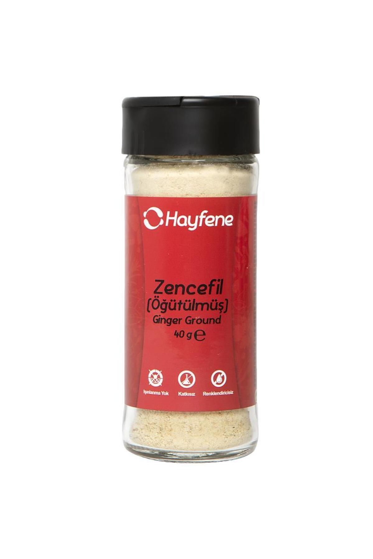 Hayfene Zencefil Toz 40 gr