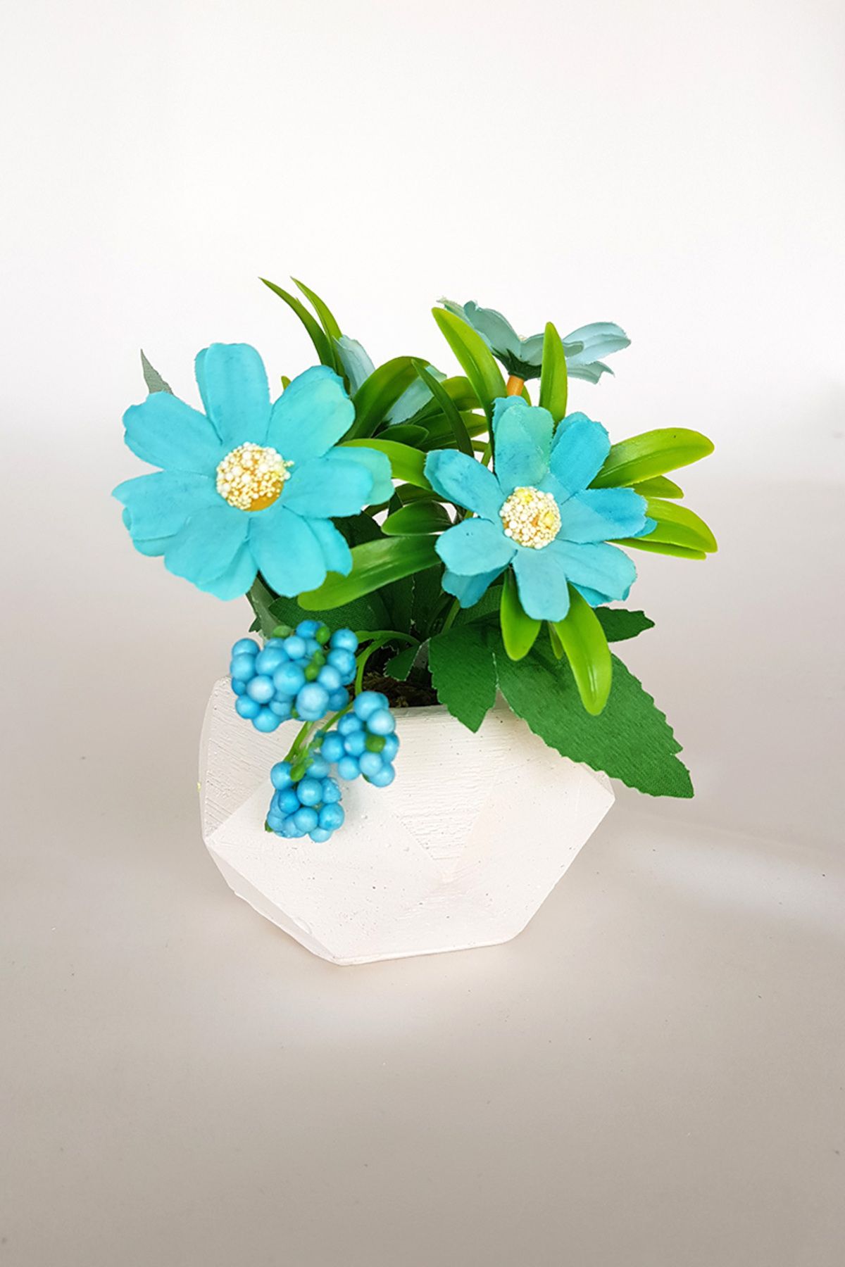 adresiburasi Adresiburası Beton Saksıda Anemon Masa Çiçeği Mavi