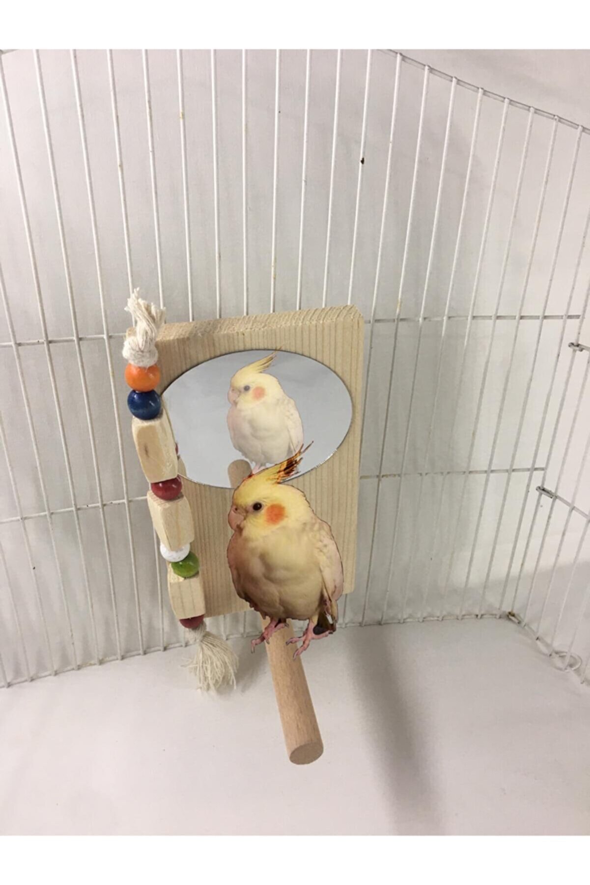 amazon bird Tünekli Papağan Aynası